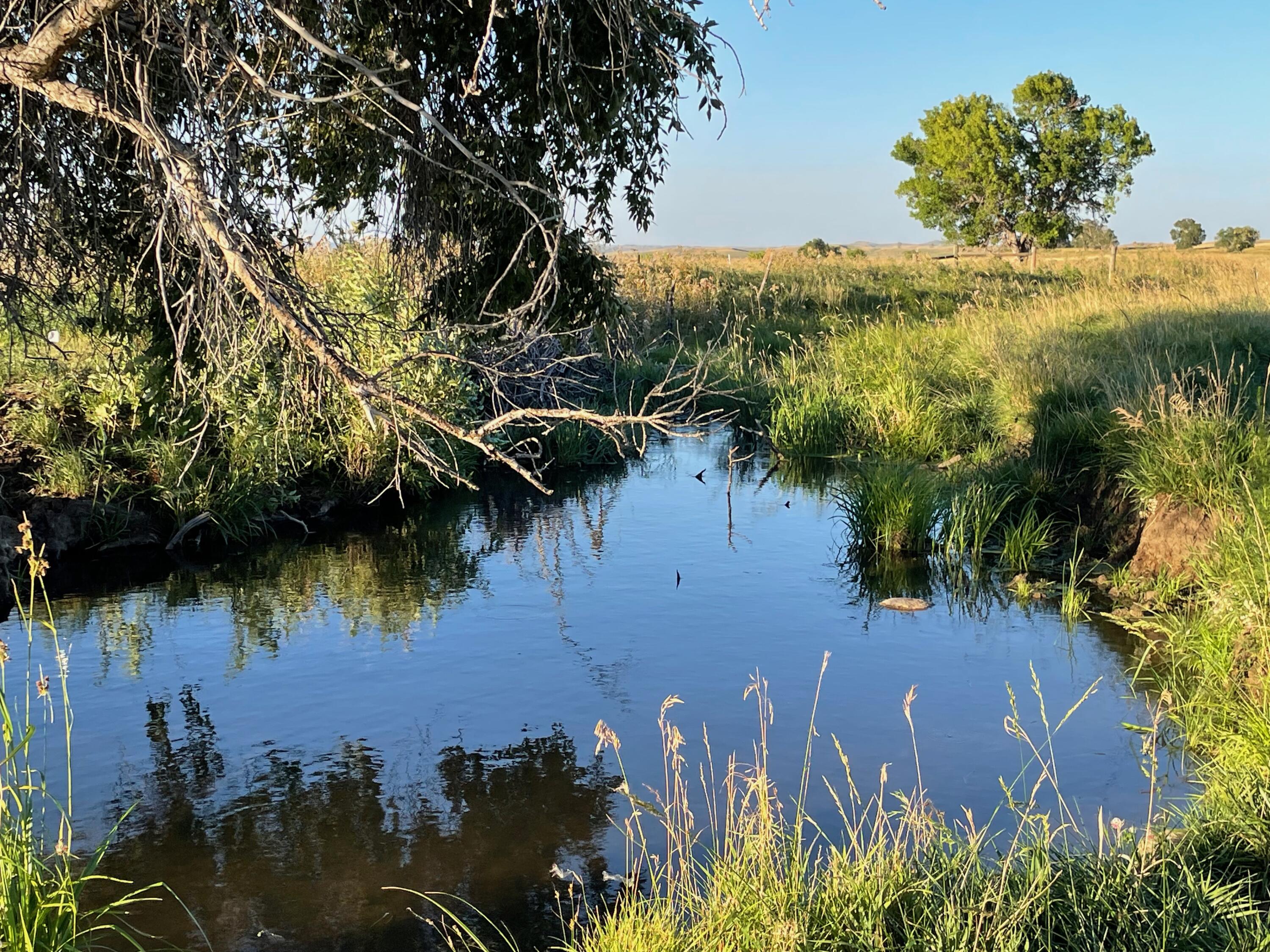 40.6 acres Canyon Ranch Road
