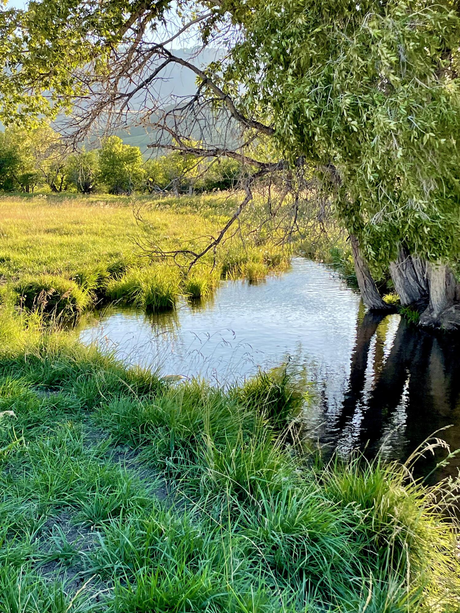 40.6 acres Canyon Ranch Road