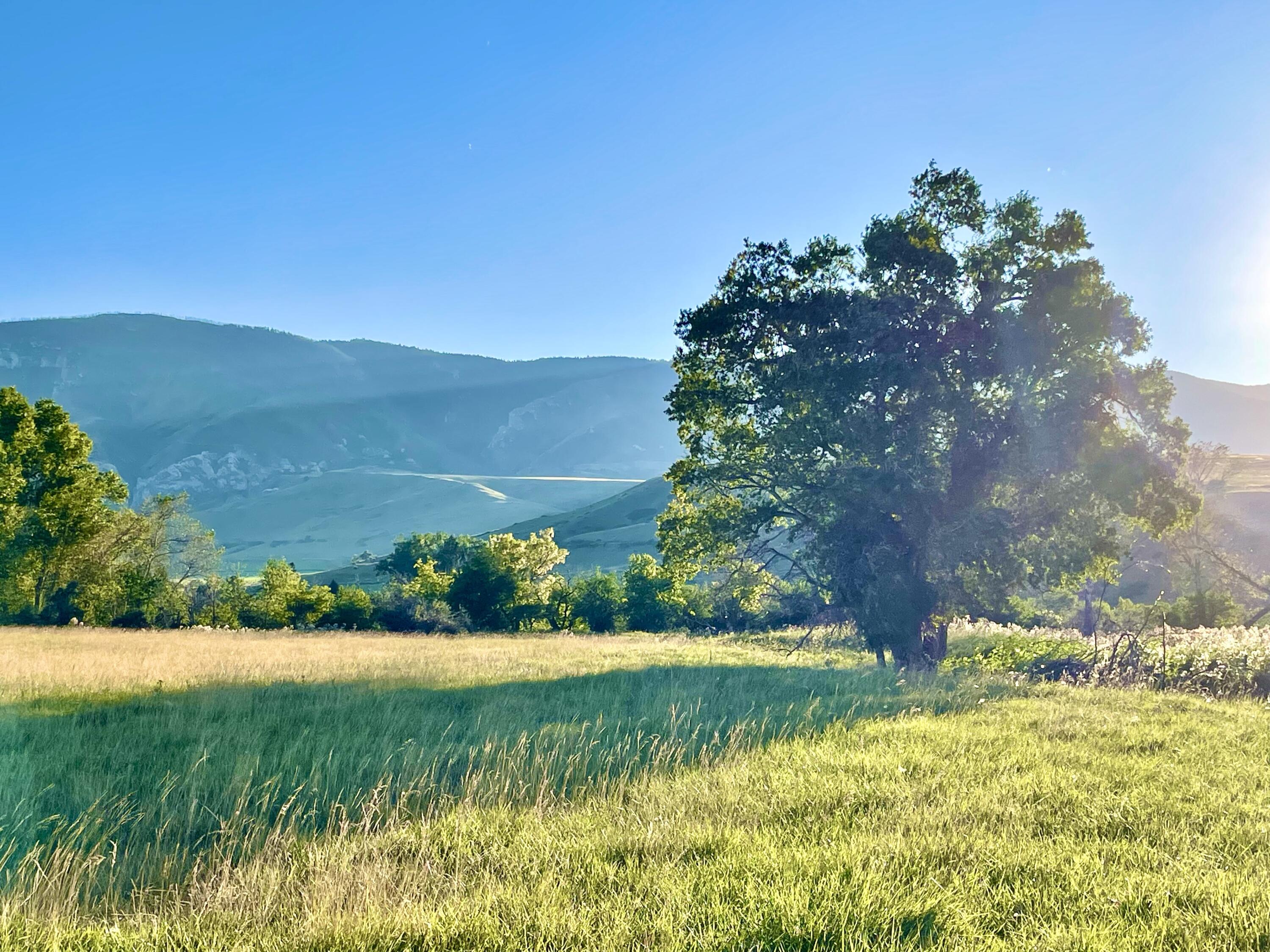 40.6 acres Canyon Ranch Road
