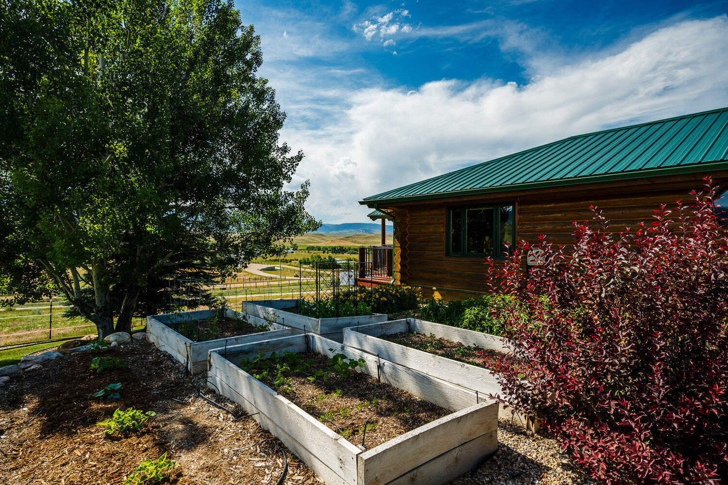 11 Fawn Drive