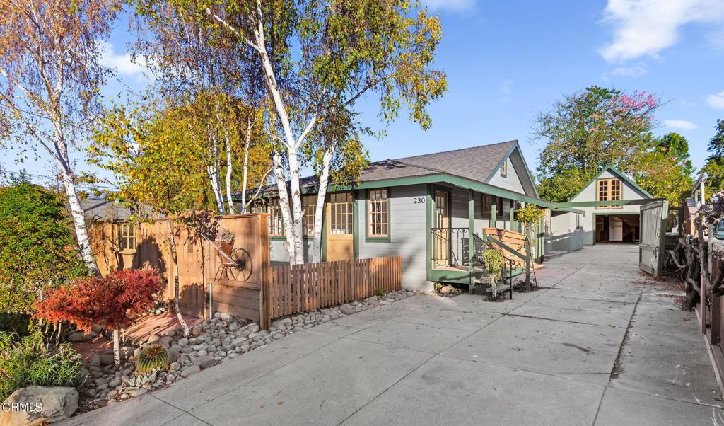 230 Olive Street
