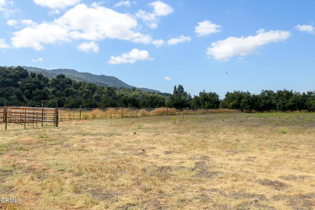 10430 N Ojai Santa Paula Road