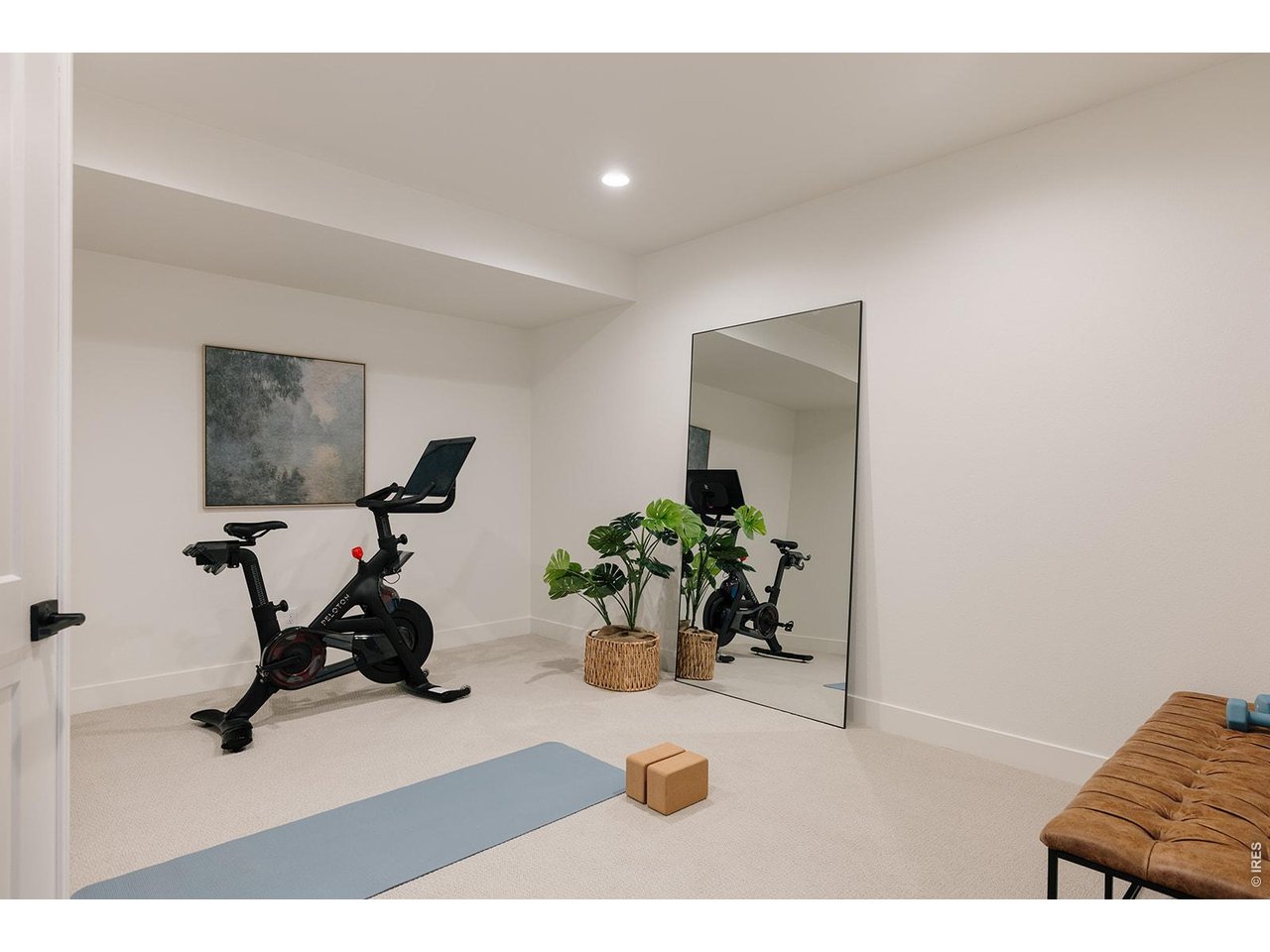 66 Blue Fortune Dr