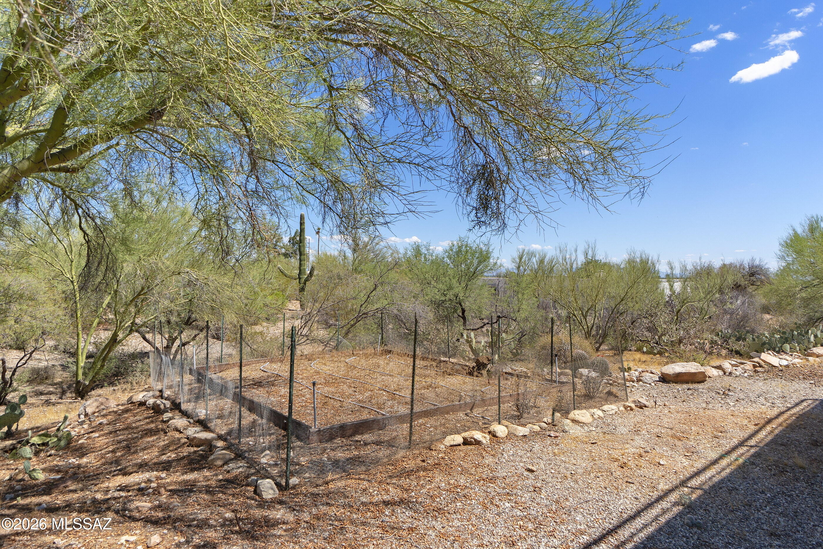 4310 N Camino Arco