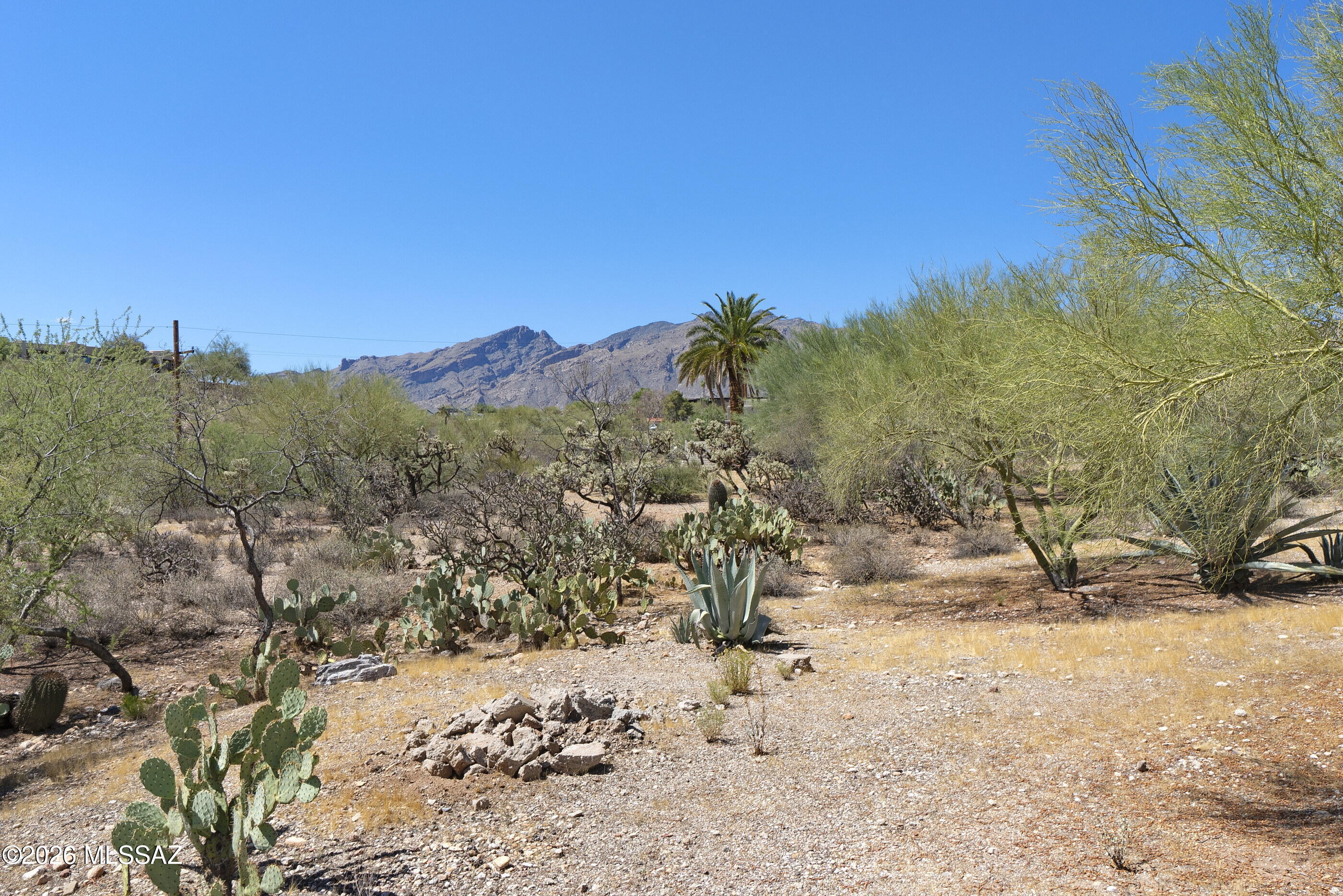 4310 N Camino Arco