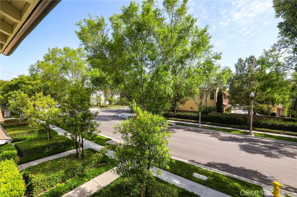 202 Rose Arch