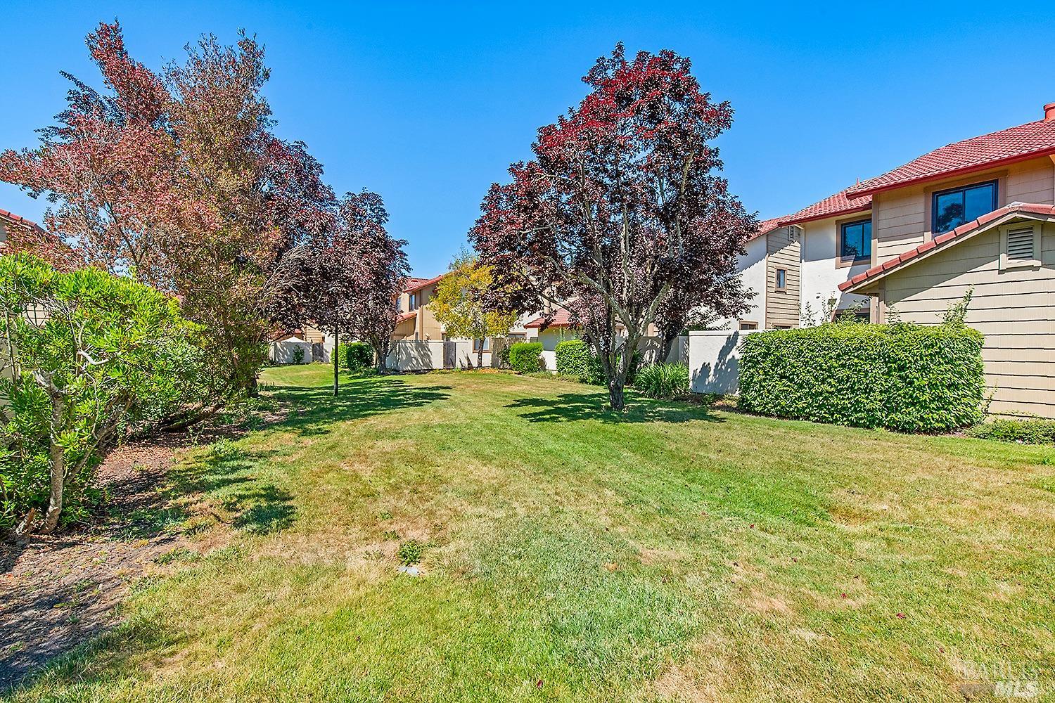 436 Park Place Drive