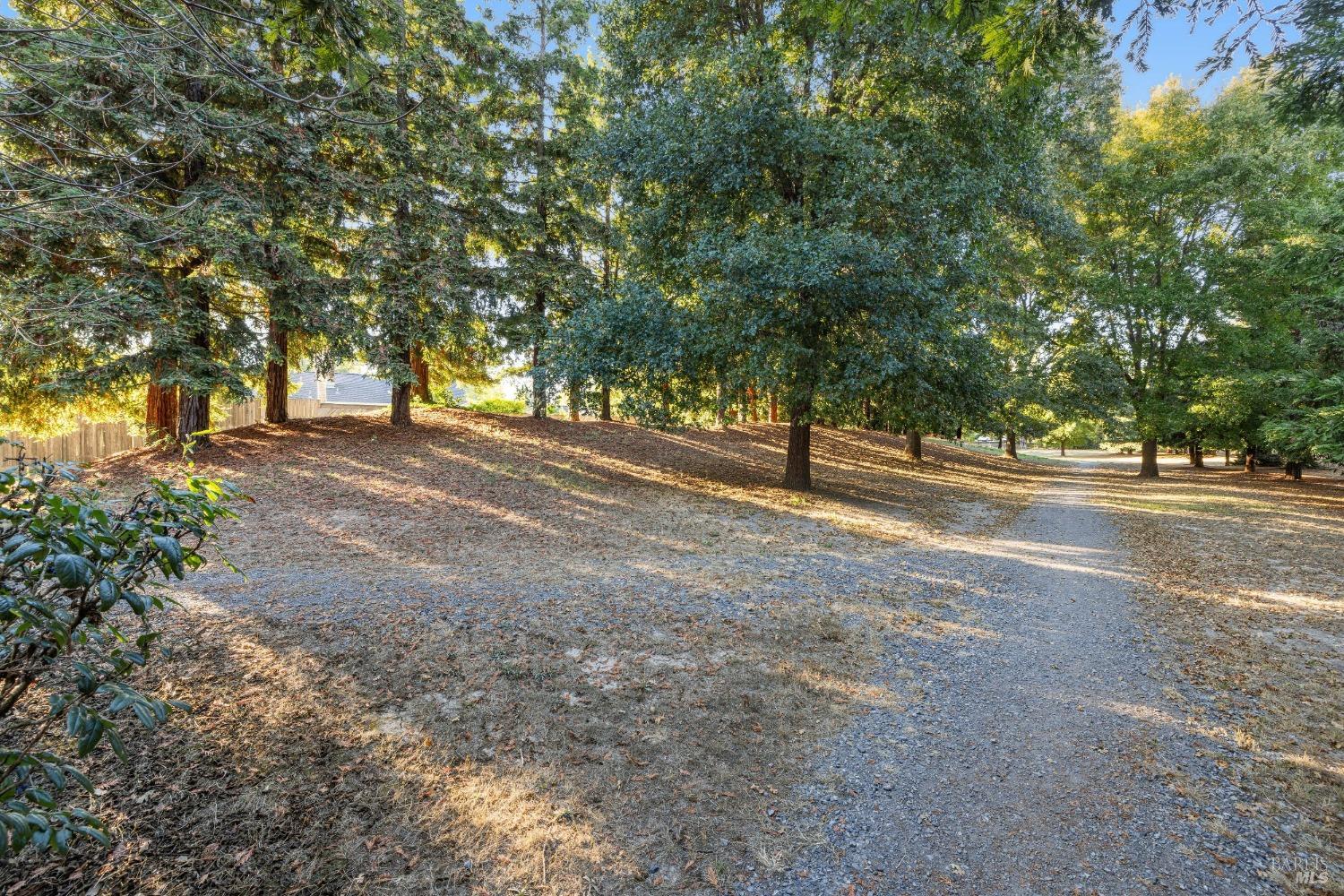 160 W Cotati Oaks Ct