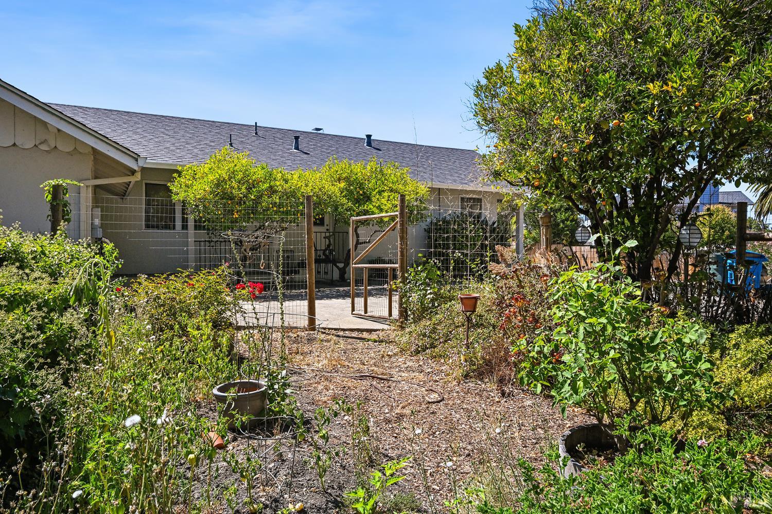12 Nob Hill Terrace