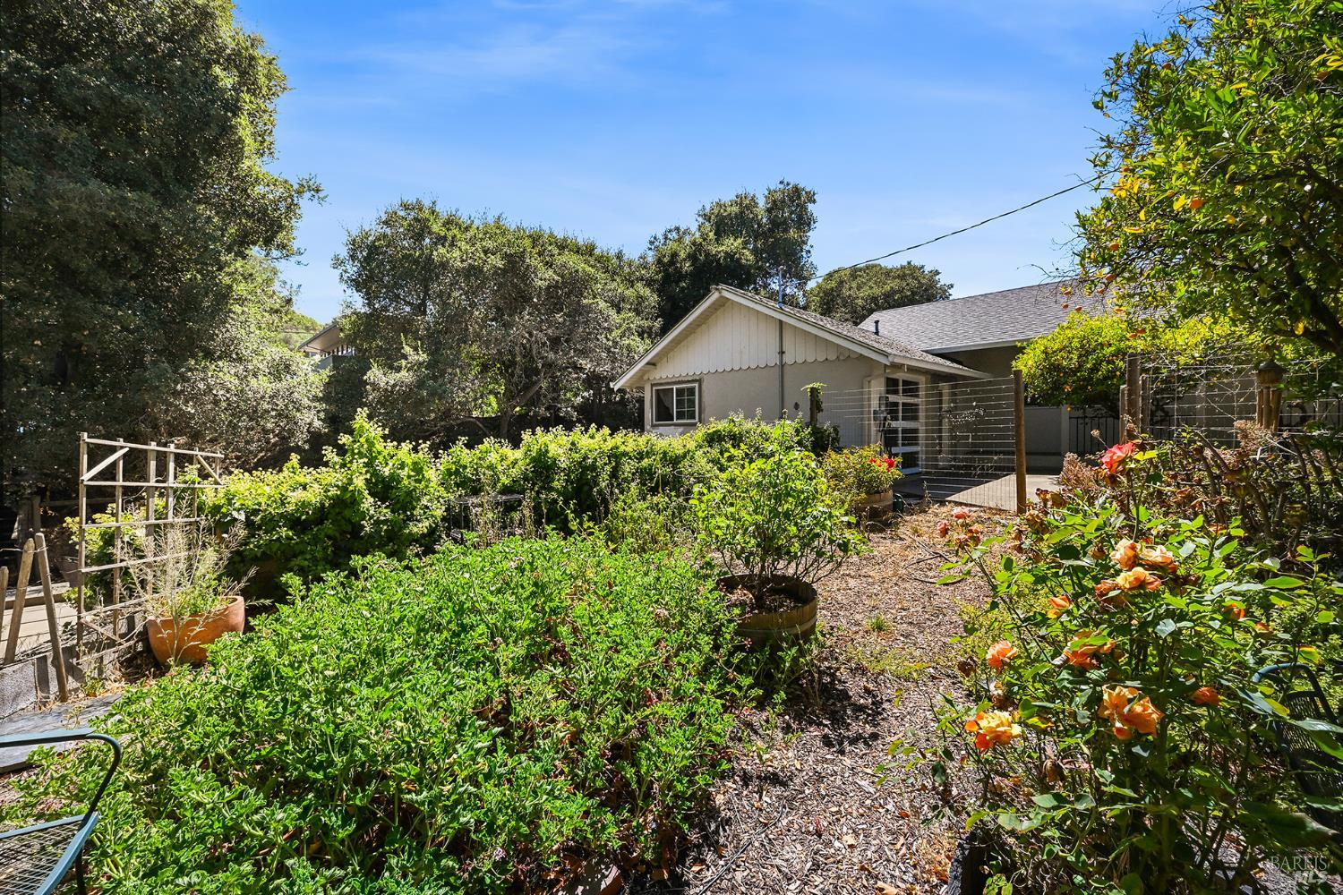 12 Nob Hill Terrace