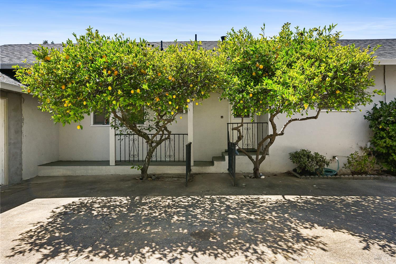 12 Nob Hill Terrace