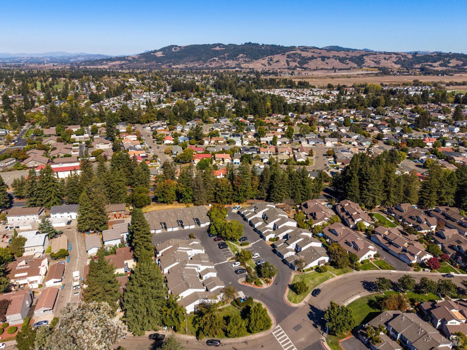 31 Conifer Square