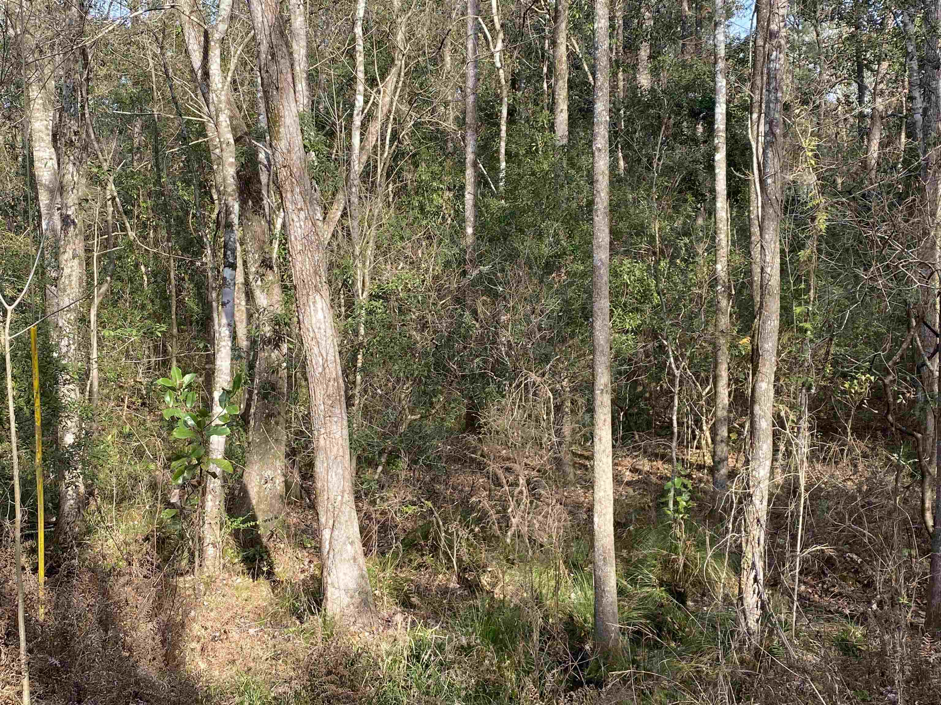 PARRAMORE SHORES Road