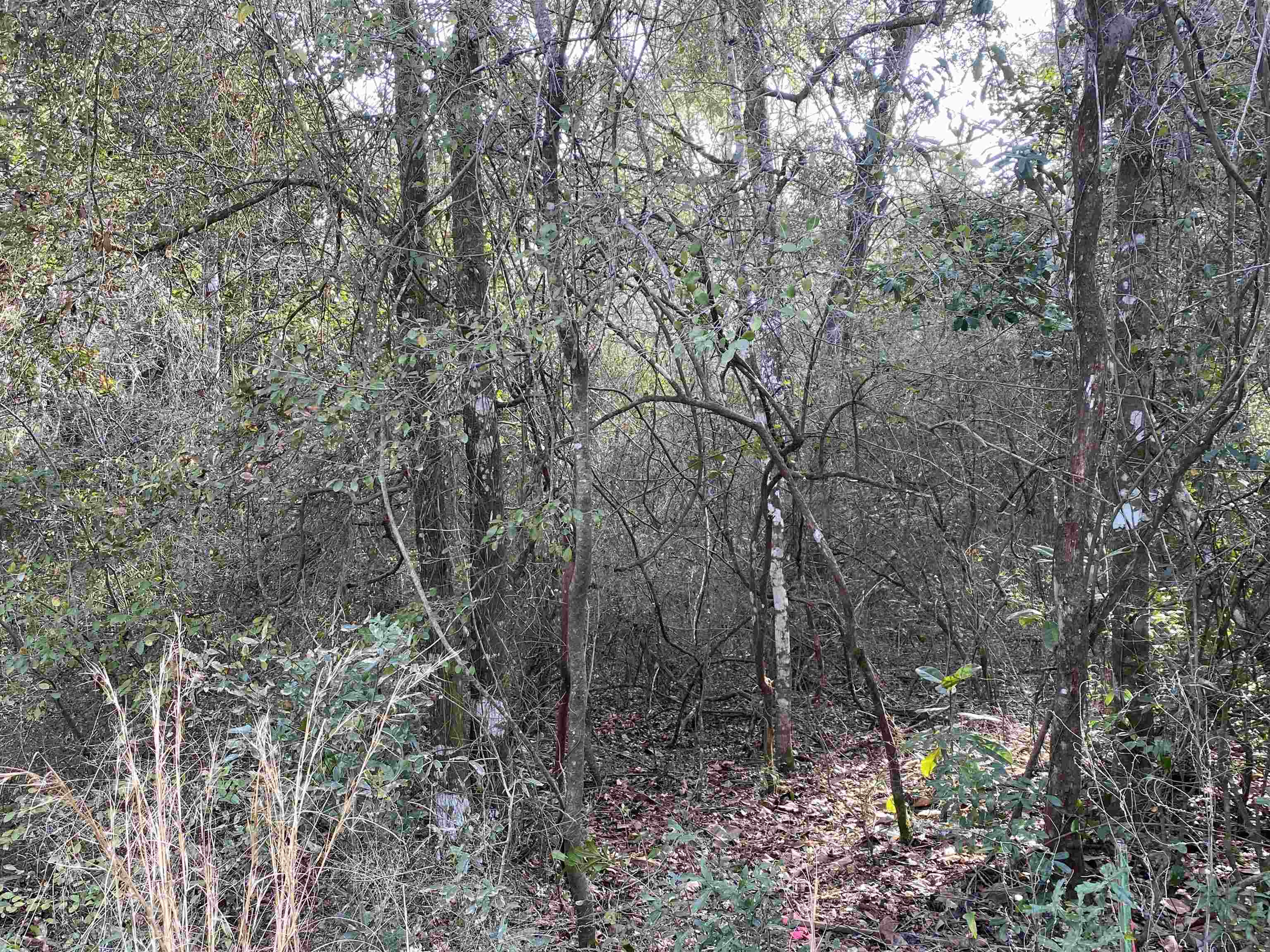 PARRAMORE SHORES Road
