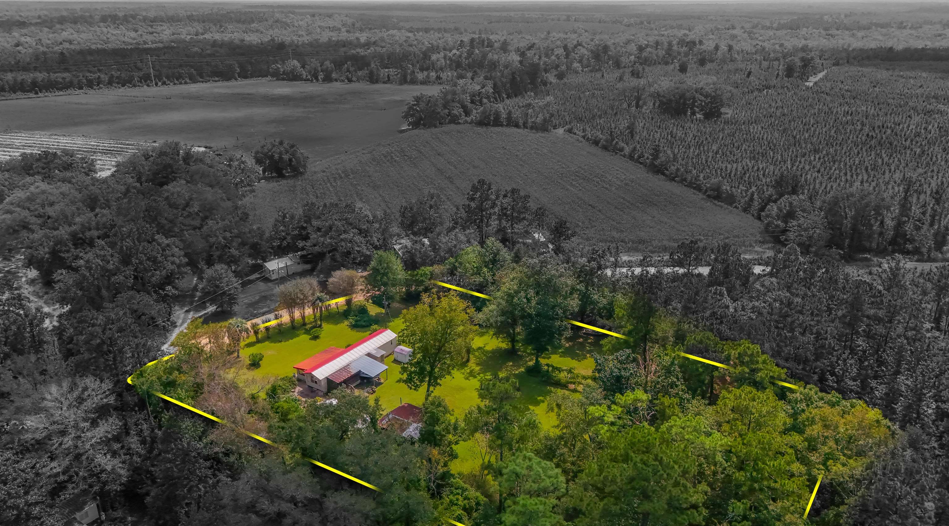 476 Jim Taylor Road