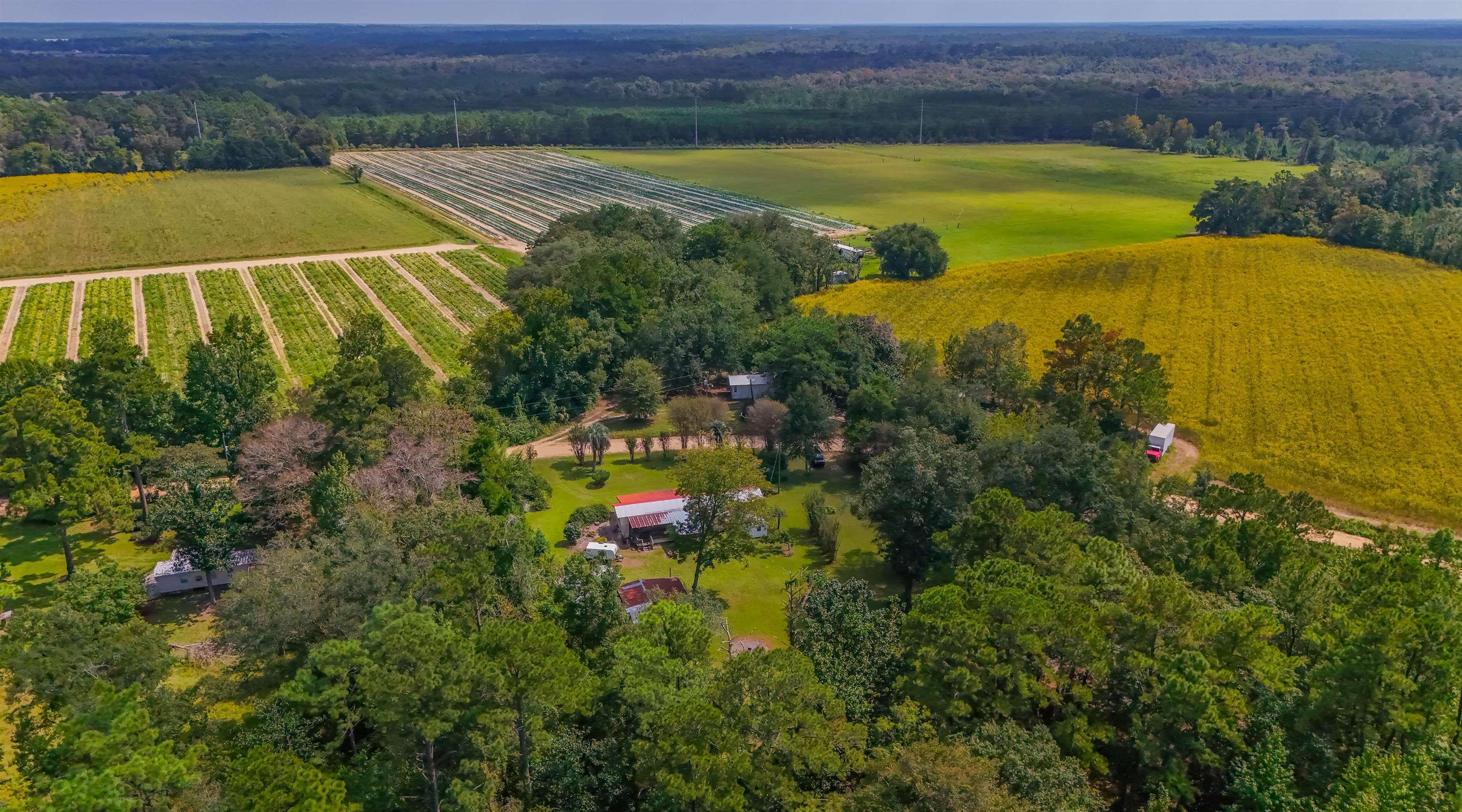 476 Jim Taylor Road