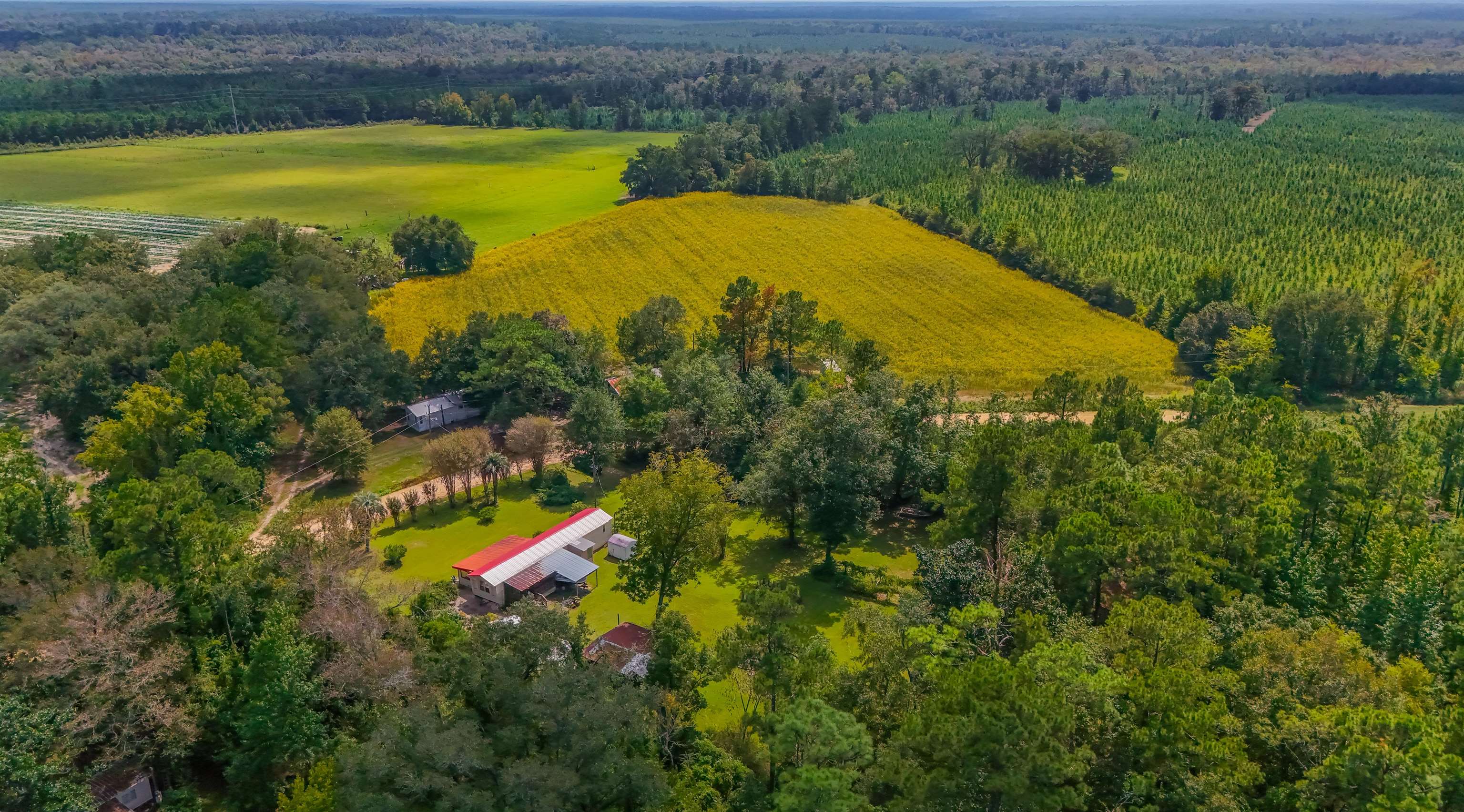 476 Jim Taylor Road