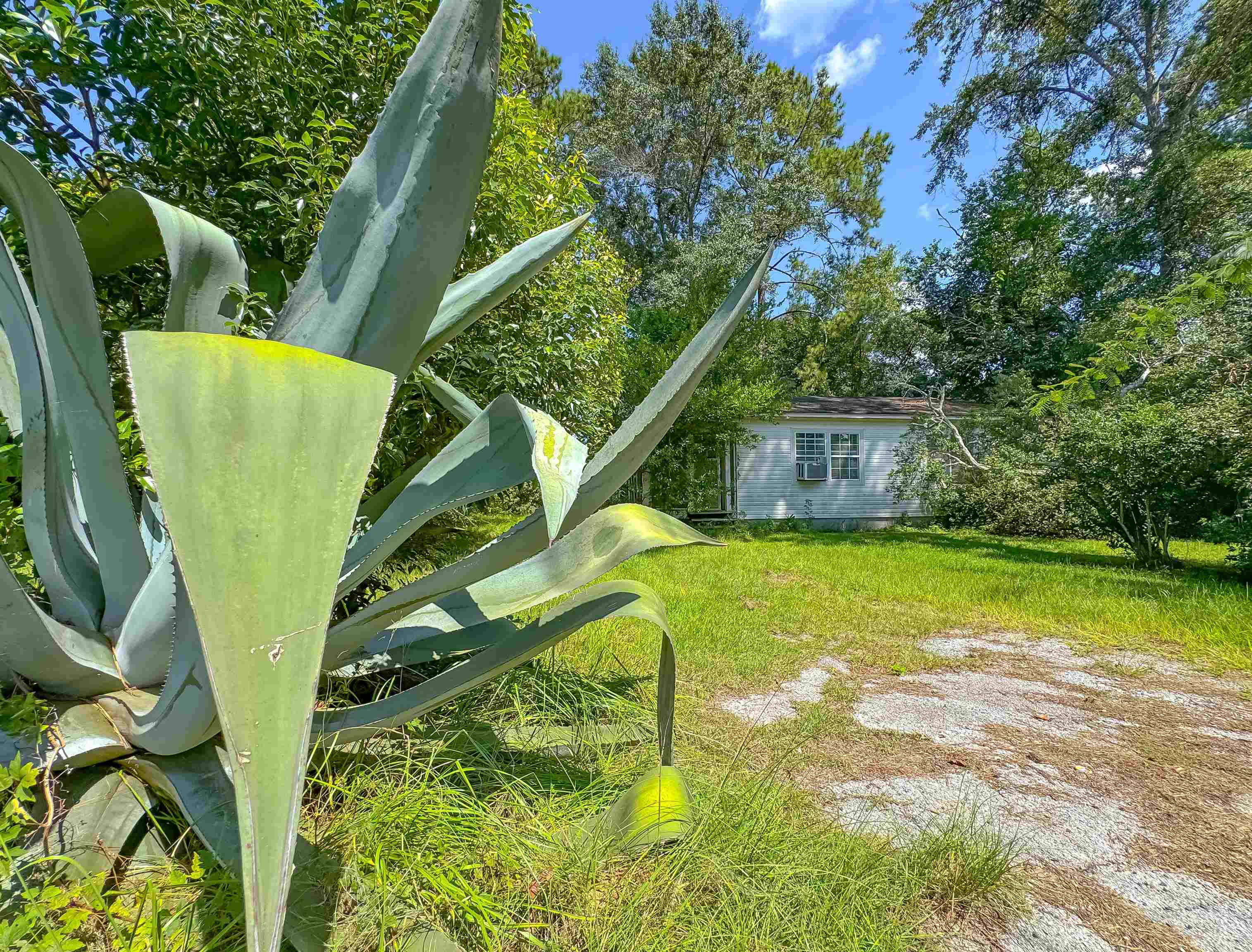 1109 Lorraine Avenue