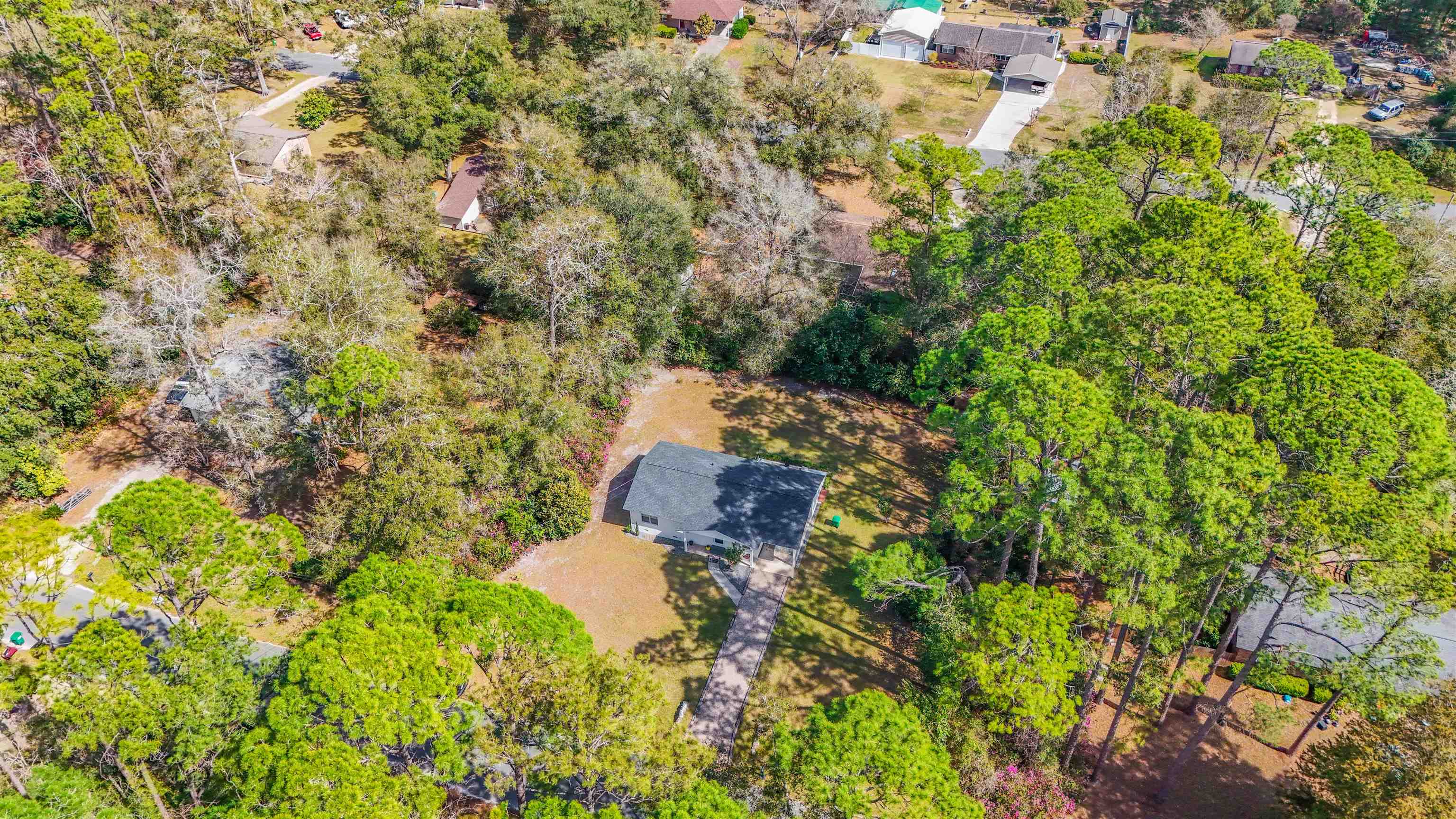 8519 Forest Wood Drive