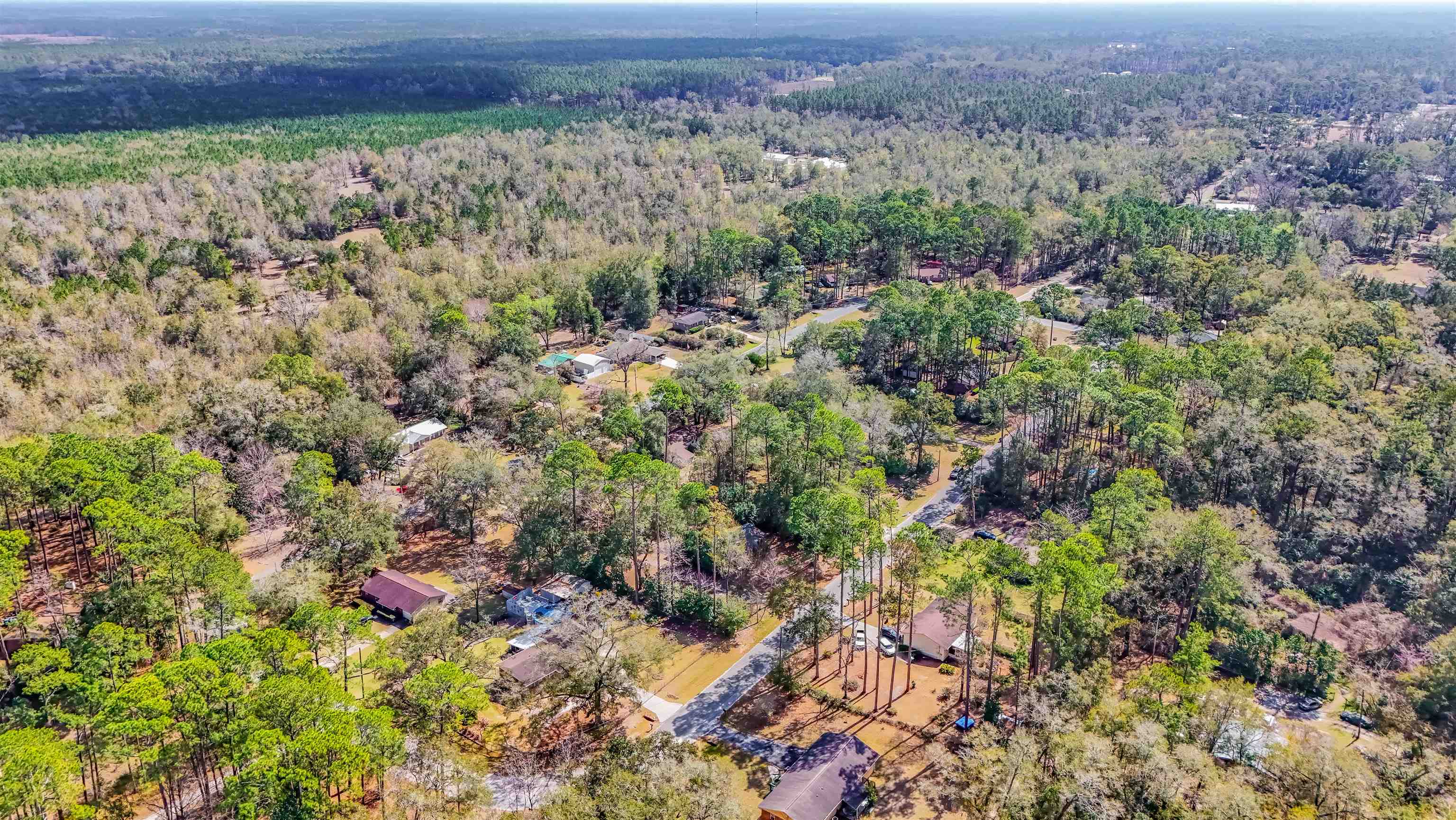 8519 Forest Wood Drive