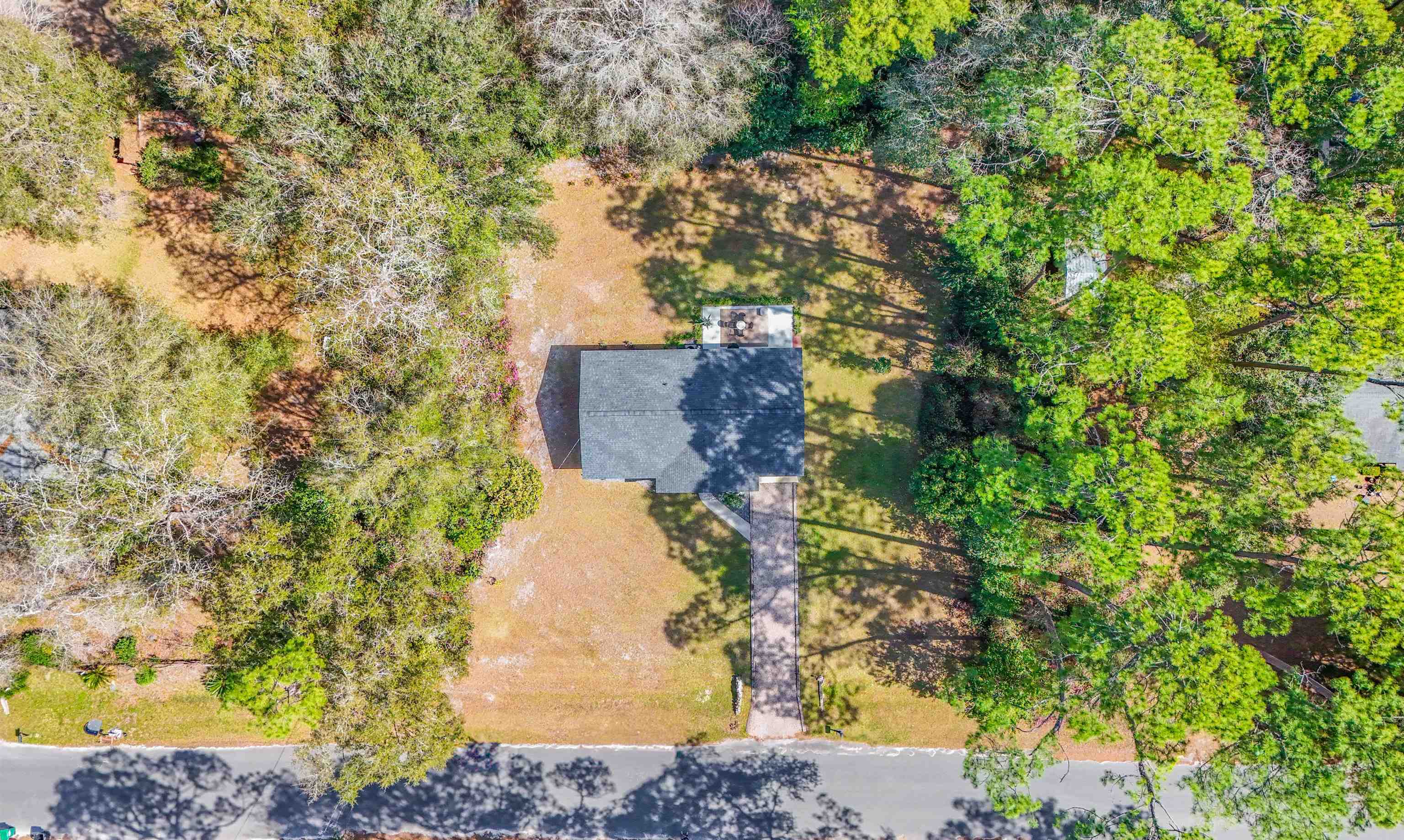 8519 Forest Wood Drive