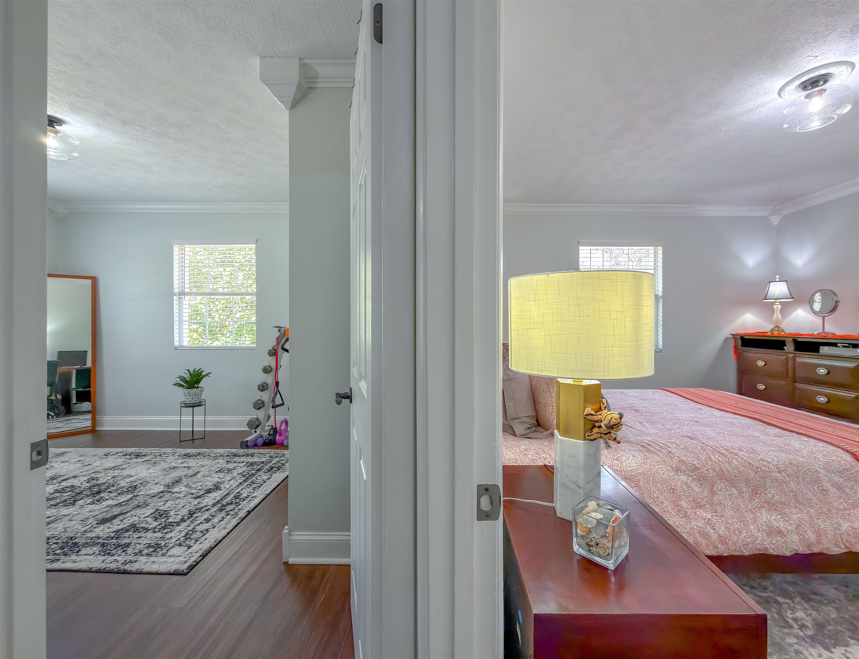 8519 Forest Wood Drive