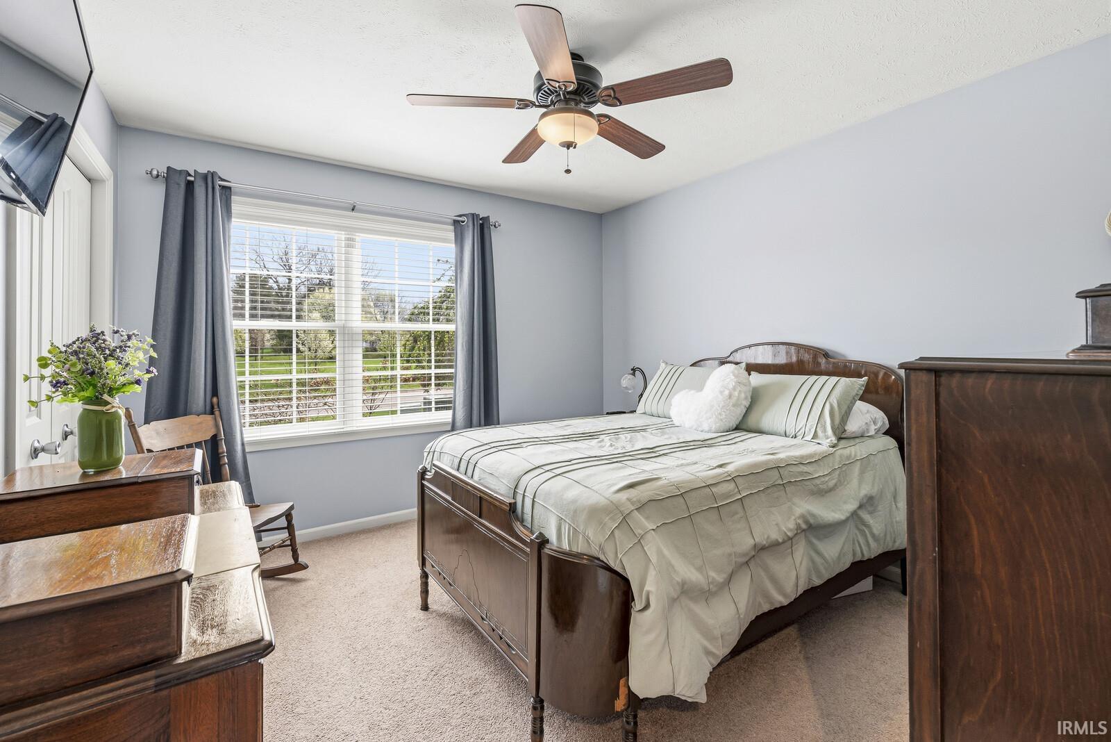 52603 Common Eider Trail
