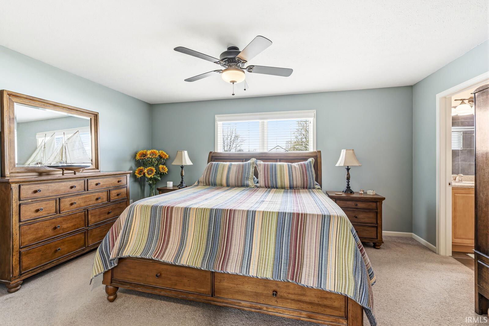 52603 Common Eider Trail