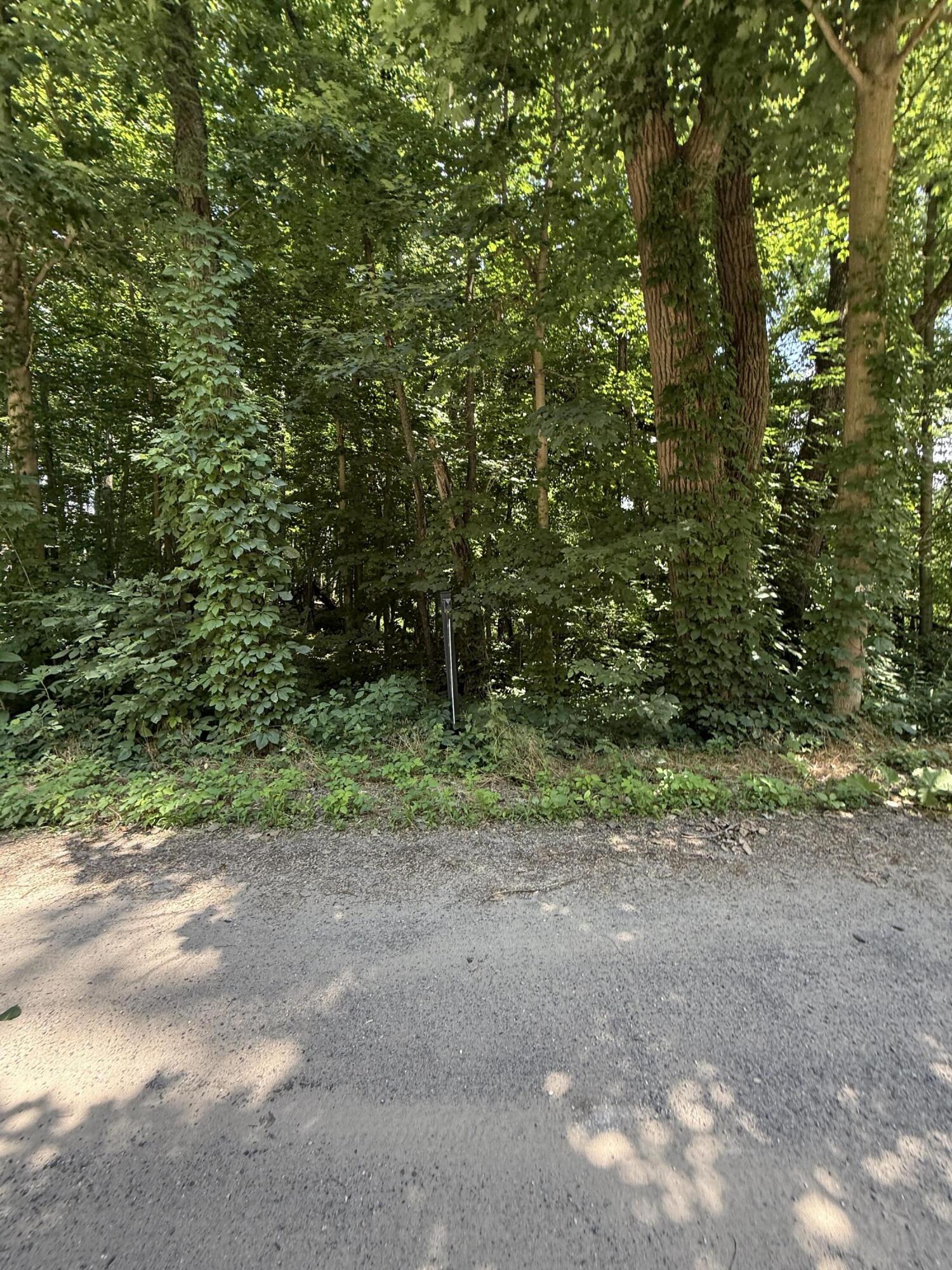 0 N Holling Blvd