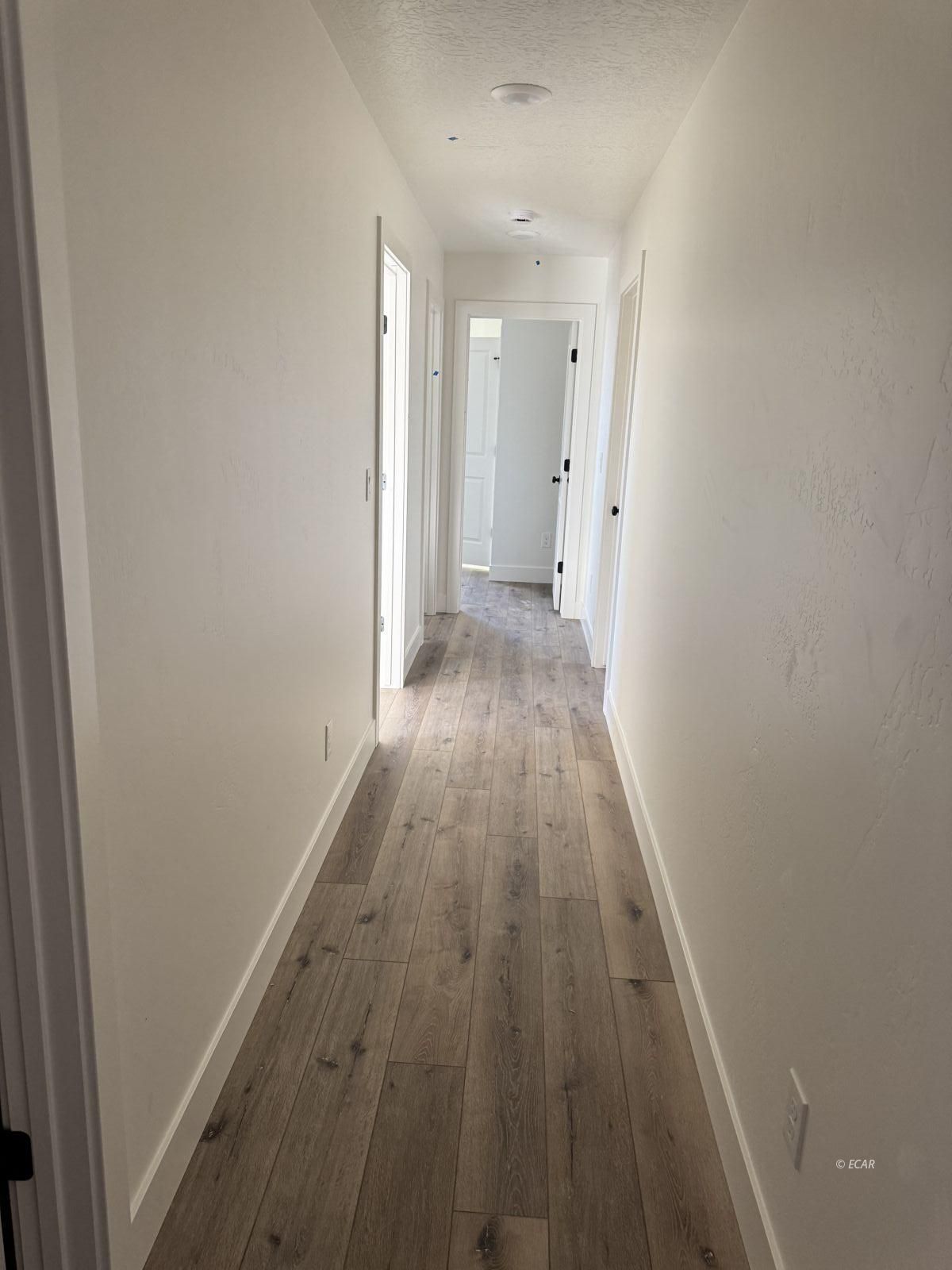 1263 Primrose Lane