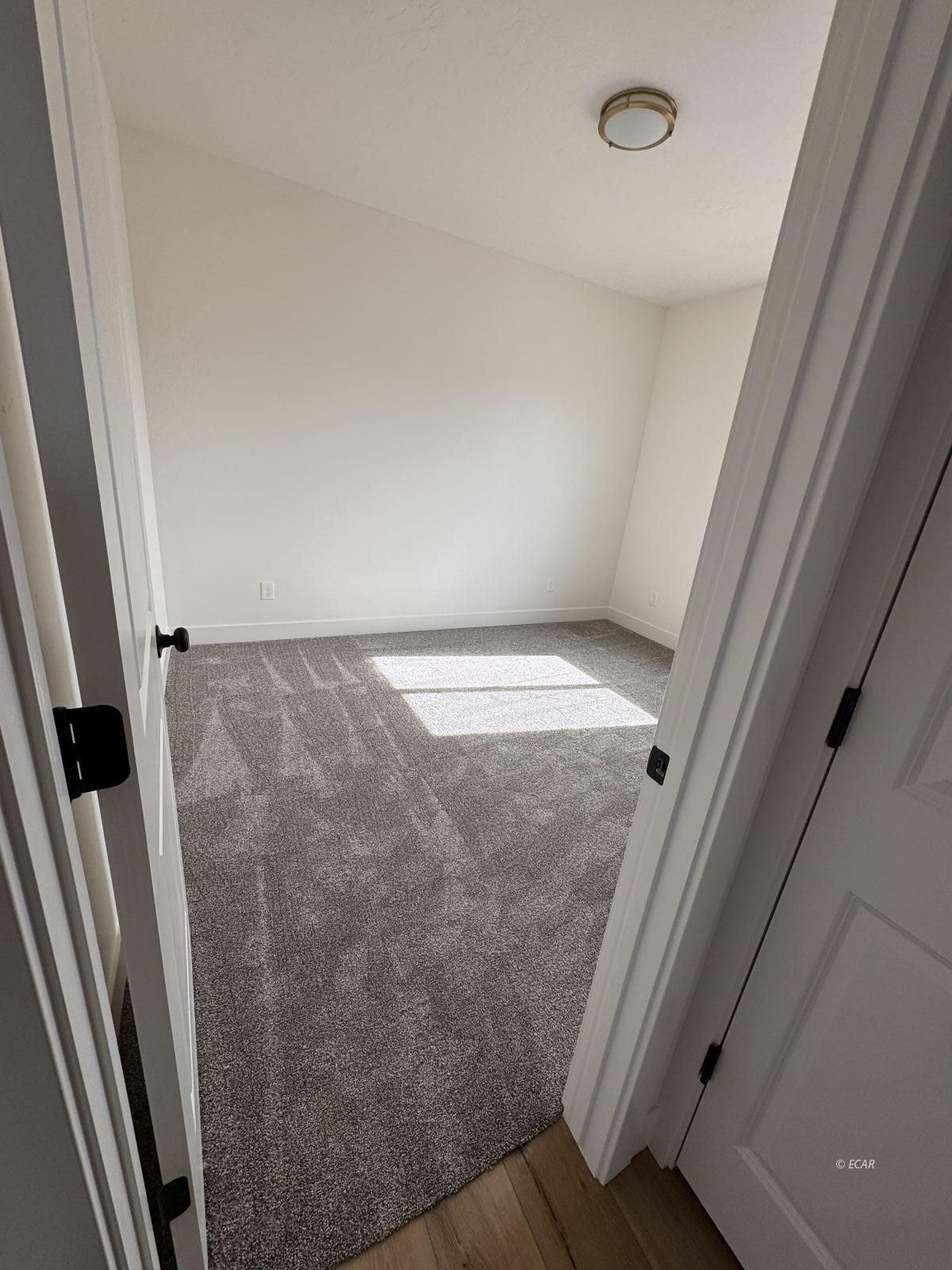 2909 Aria Way