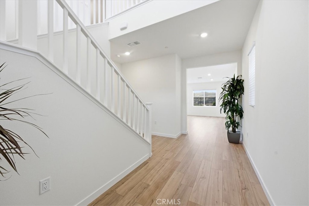 20804 Pio Pico Court