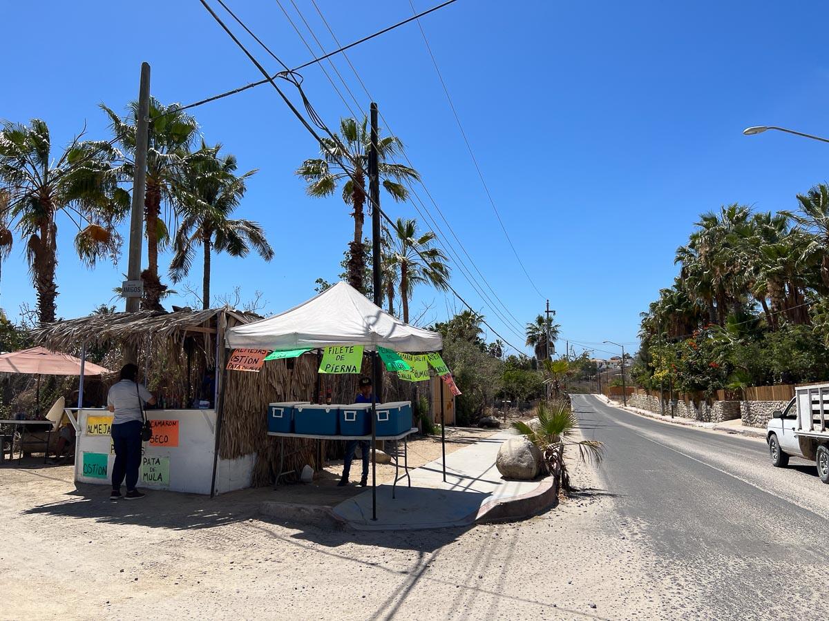 005 Lote Adelante