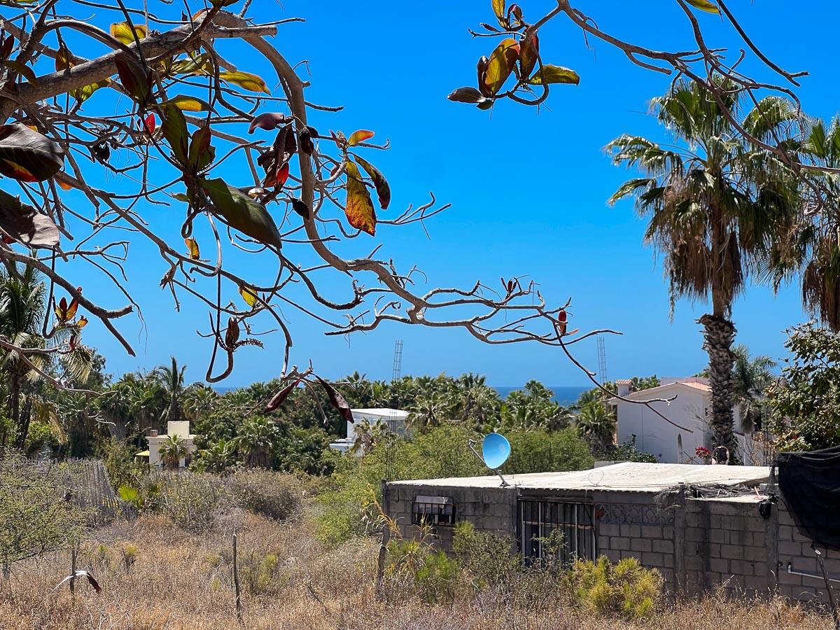 005 Lote Adelante
