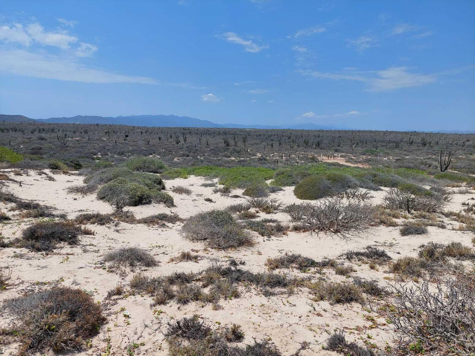 Bahia Turquesa II - Lote