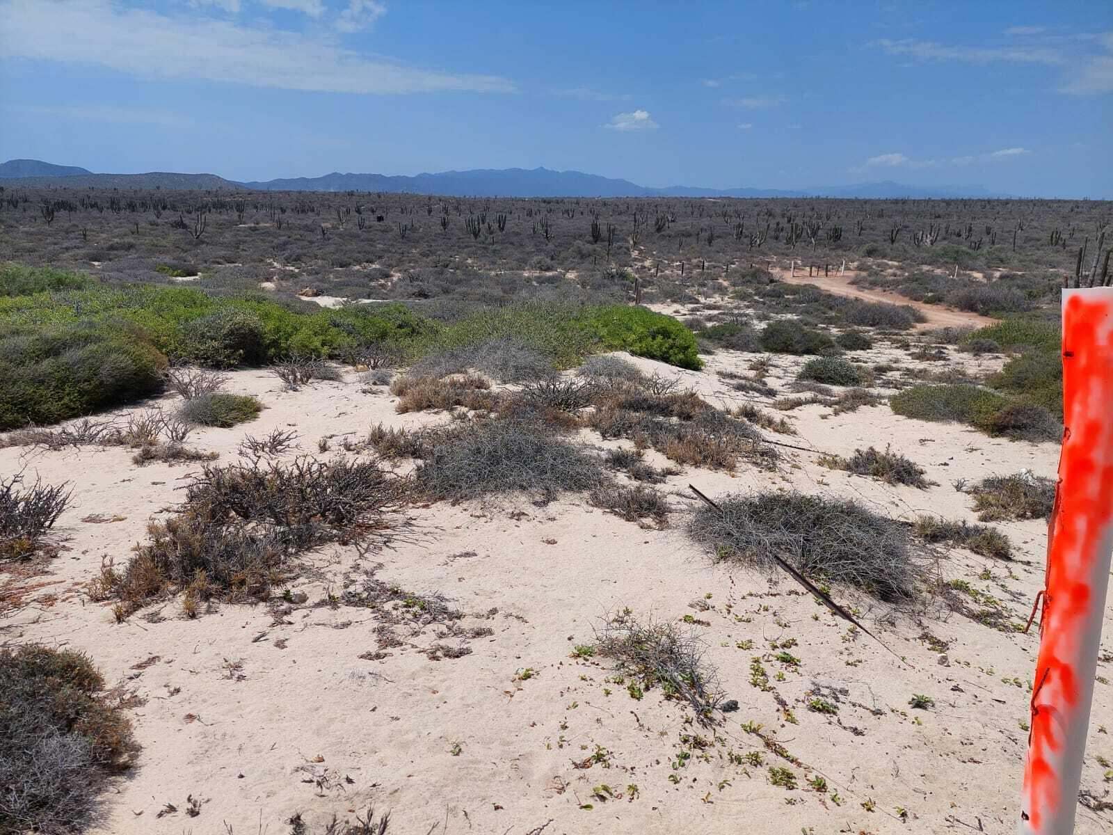 Bahia Turquesa II - Lote