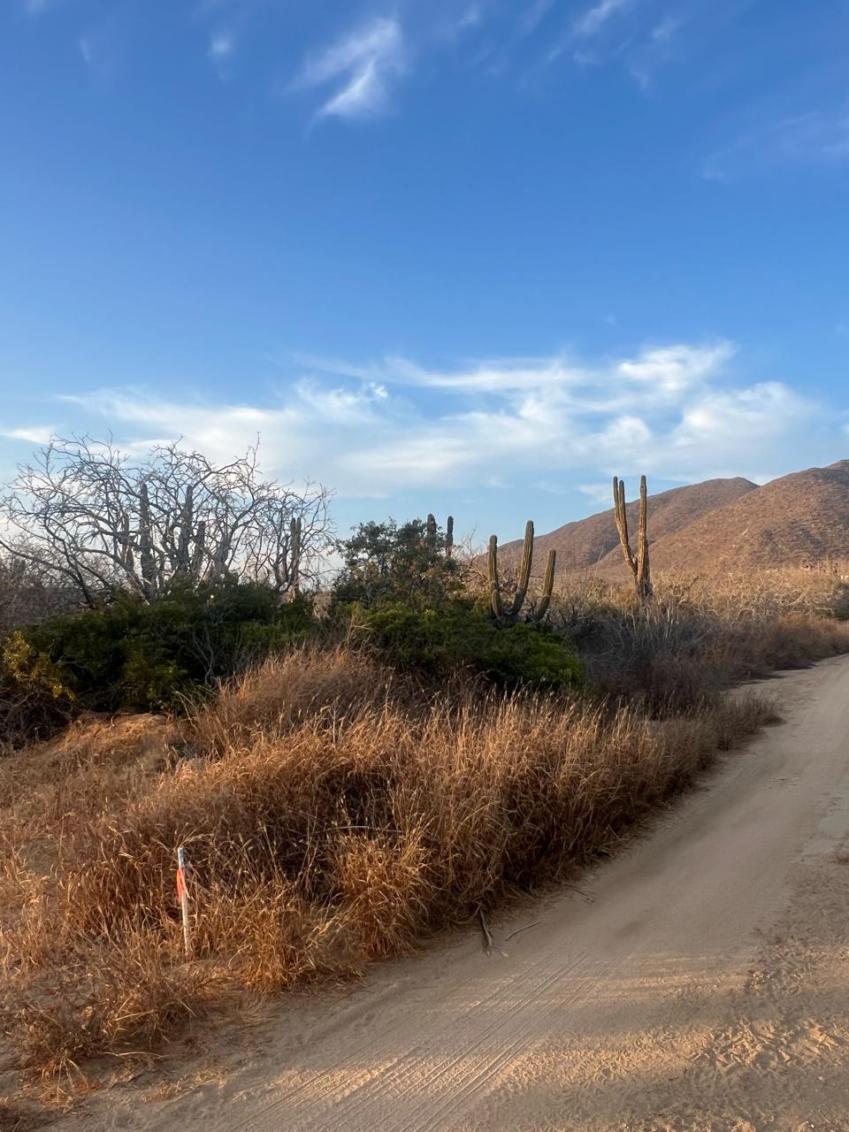 Cerritos Secluded Lot