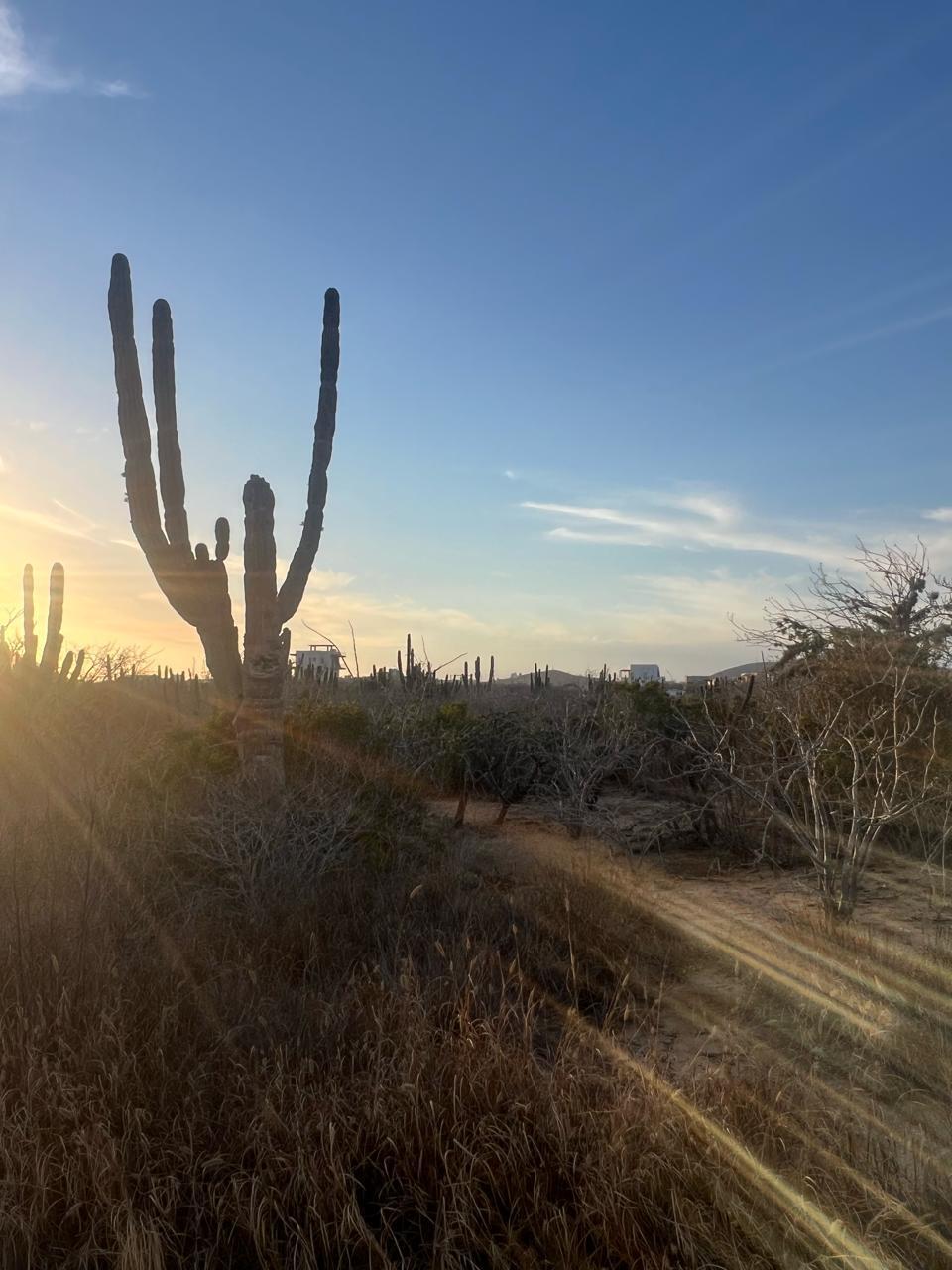 Cerritos Secluded Lot
