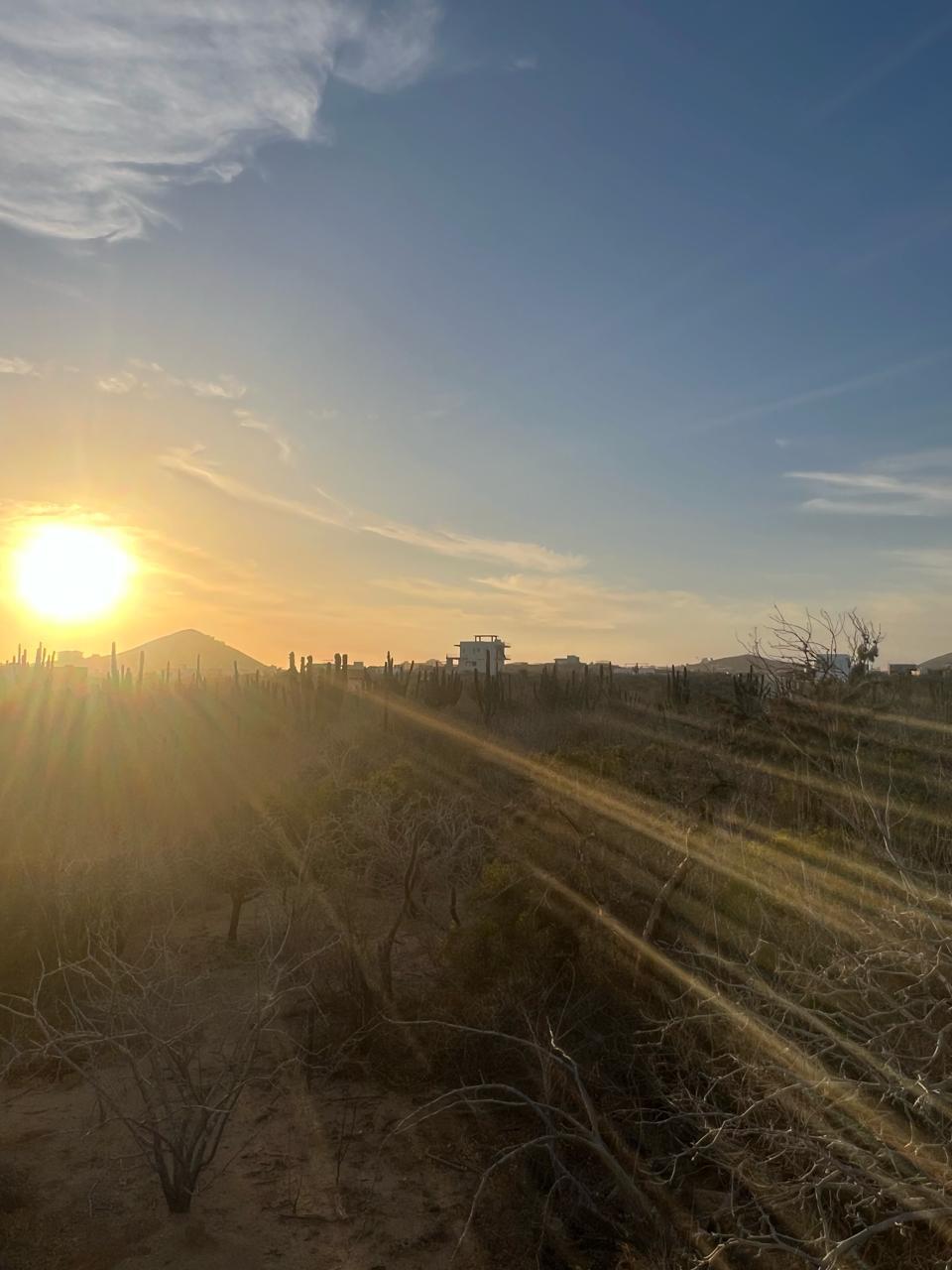 Cerritos Secluded Lot