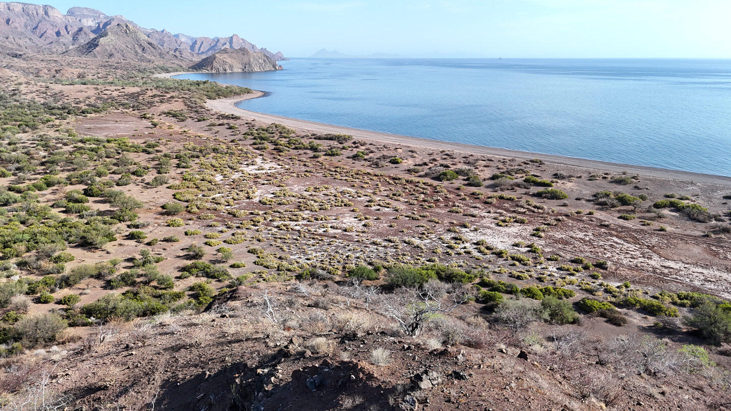 lot 46 San Cosme Loreto