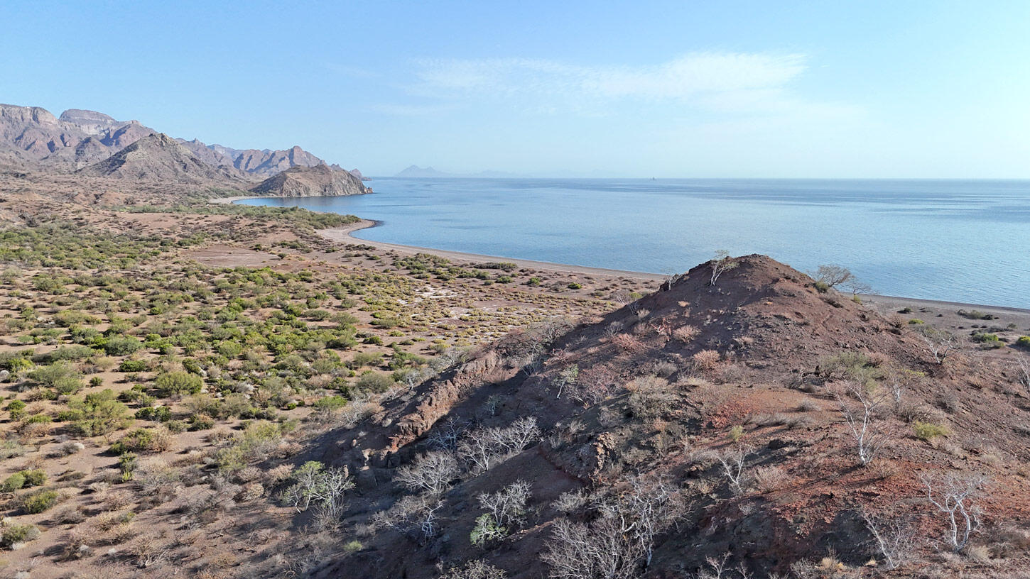 lot 46 San Cosme Loreto