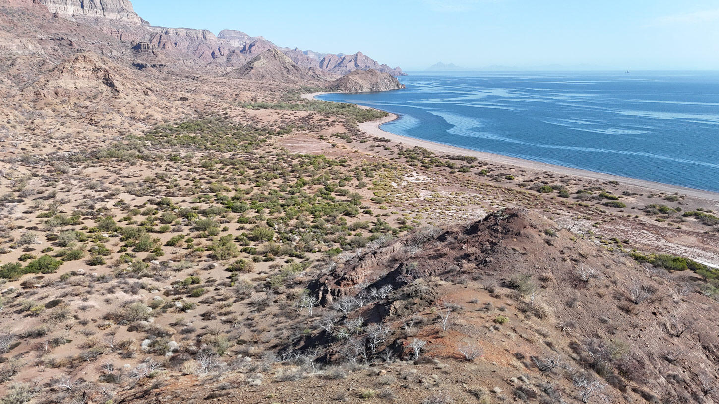 lot 46 San Cosme Loreto