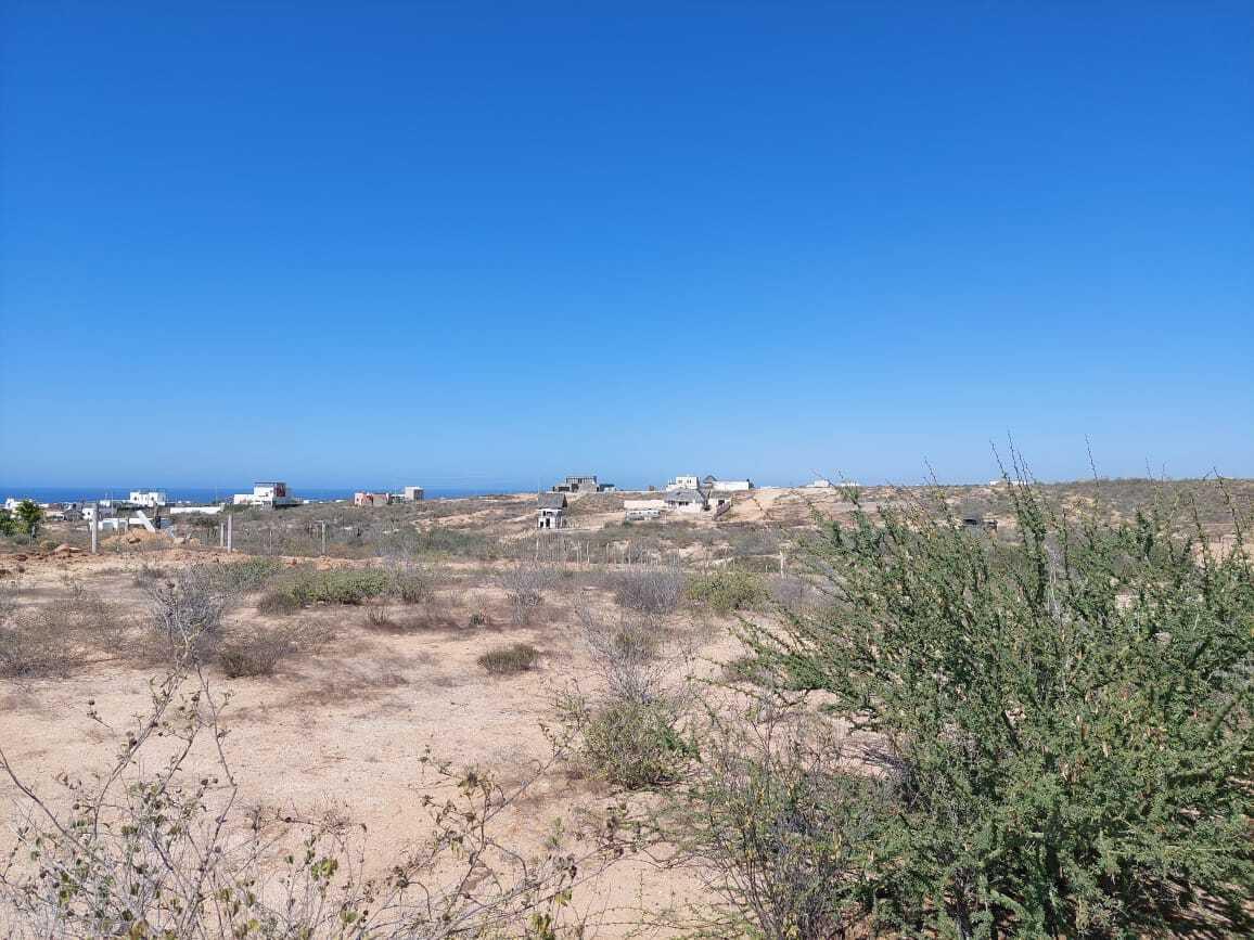 MOLUSCO, TODOS SANTOS AHORCADITA