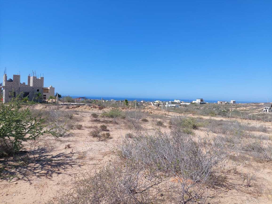 MOLUSCO, TODOS SANTOS AHORCADITA