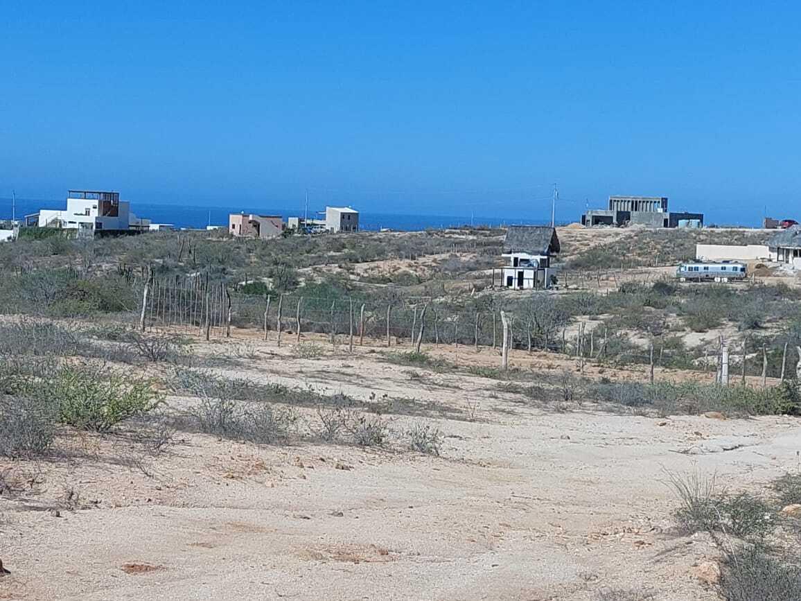 MOLUSCO, TODOS SANTOS AHORCADITA