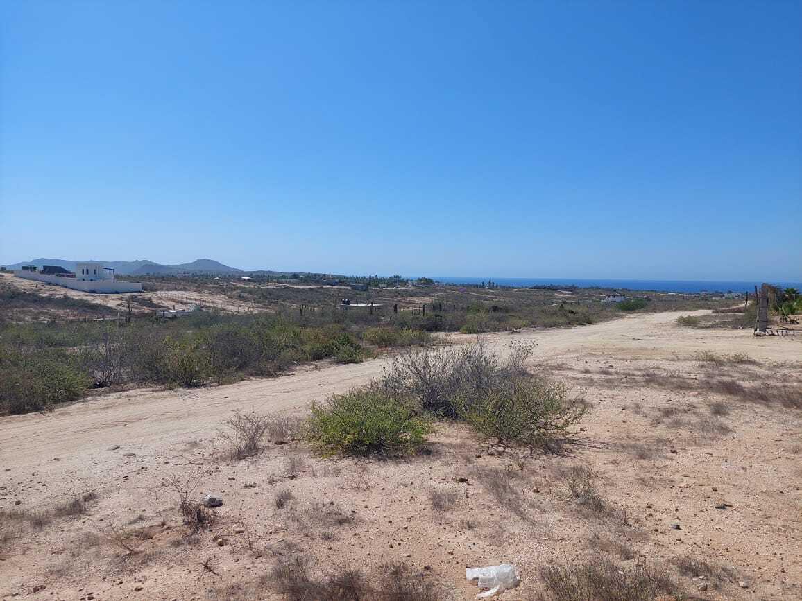 MOLUSCO, TODOS SANTOS AHORCADITA