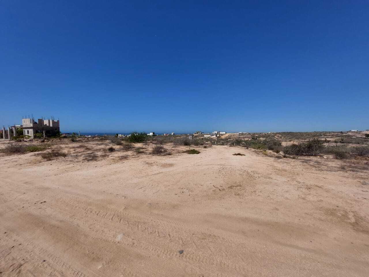 MOLUSCO, TODOS SANTOS AHORCADITA