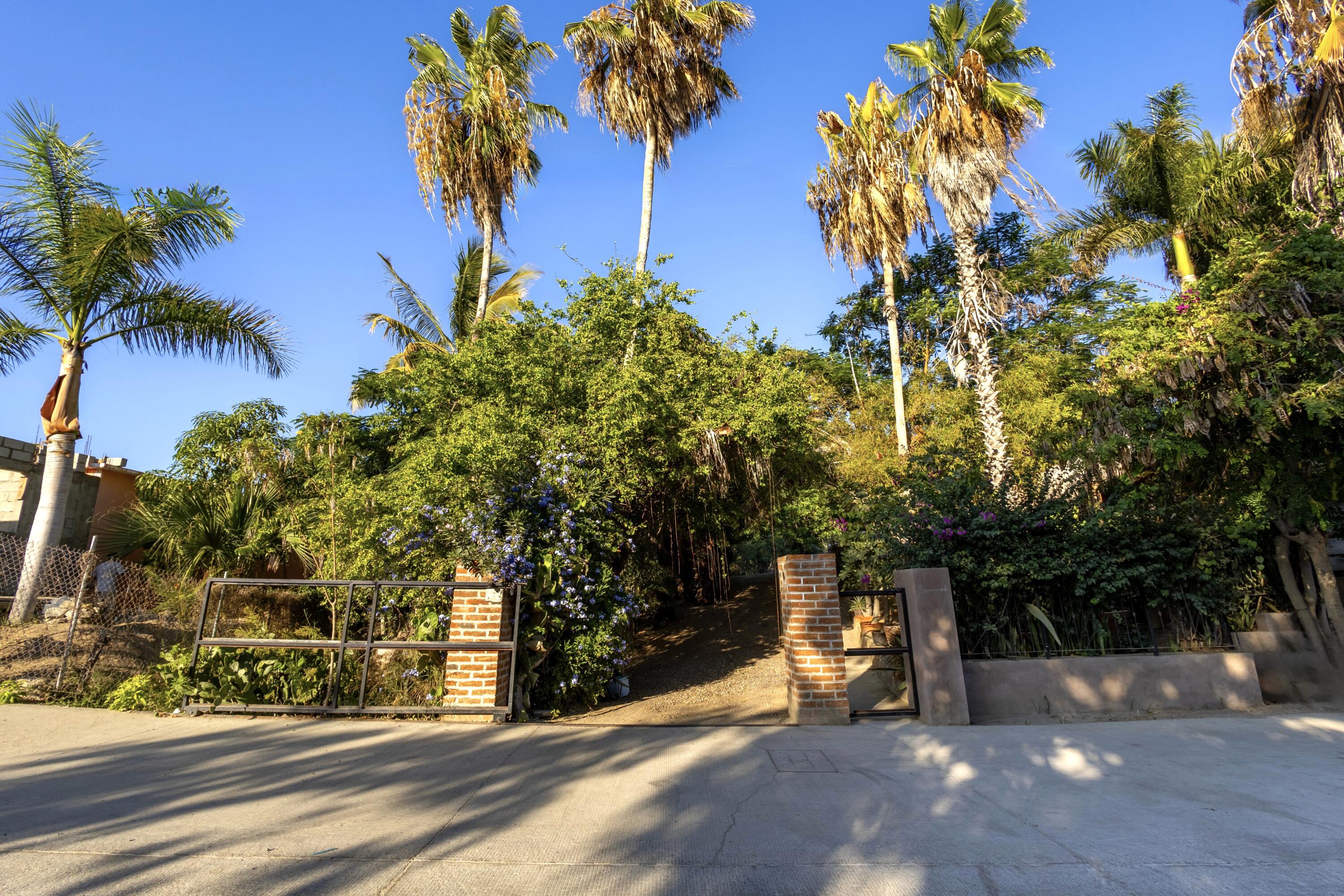 18 Paradise Place and Gardens
