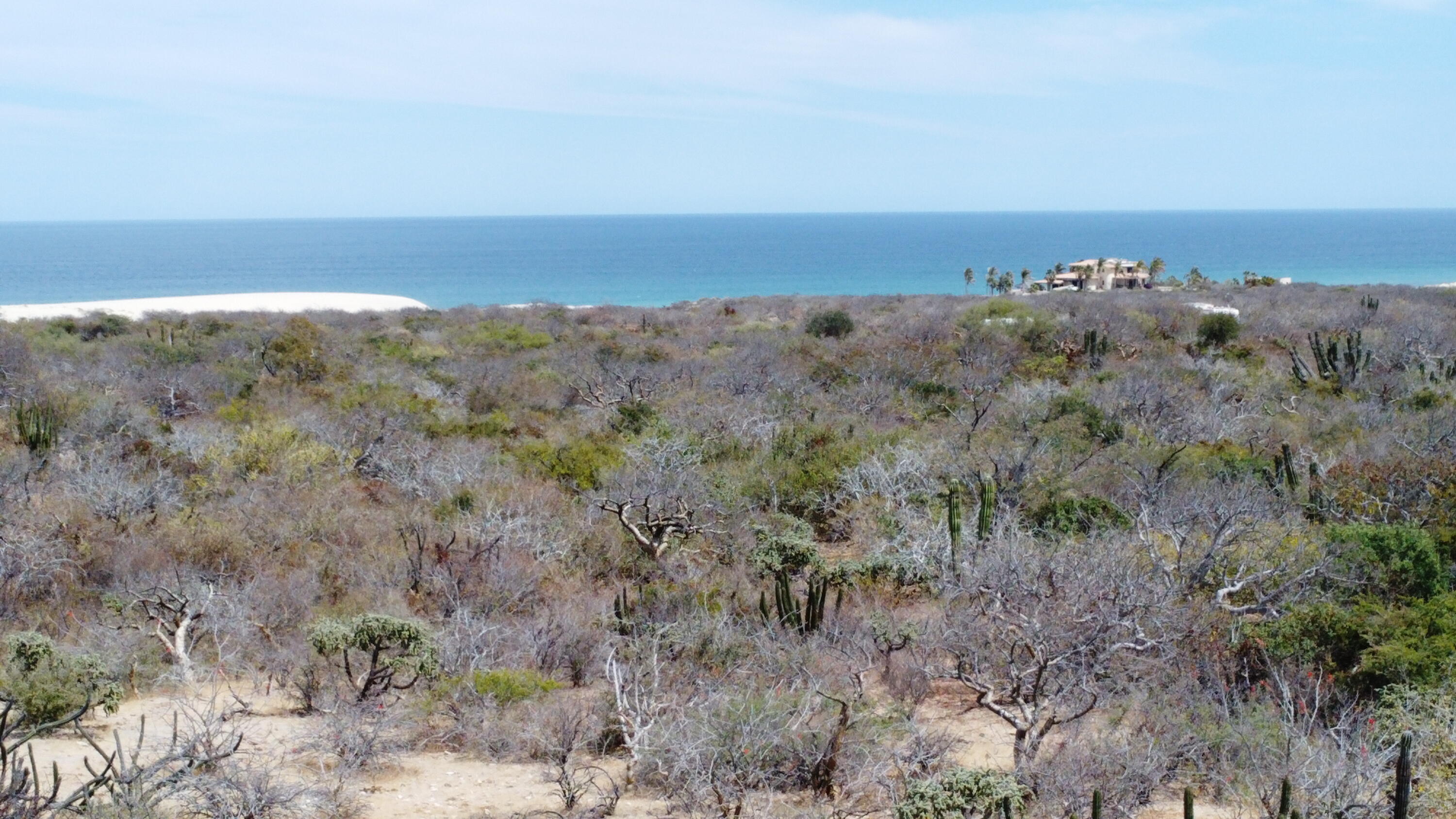Hectárea at Castillos de Arena
