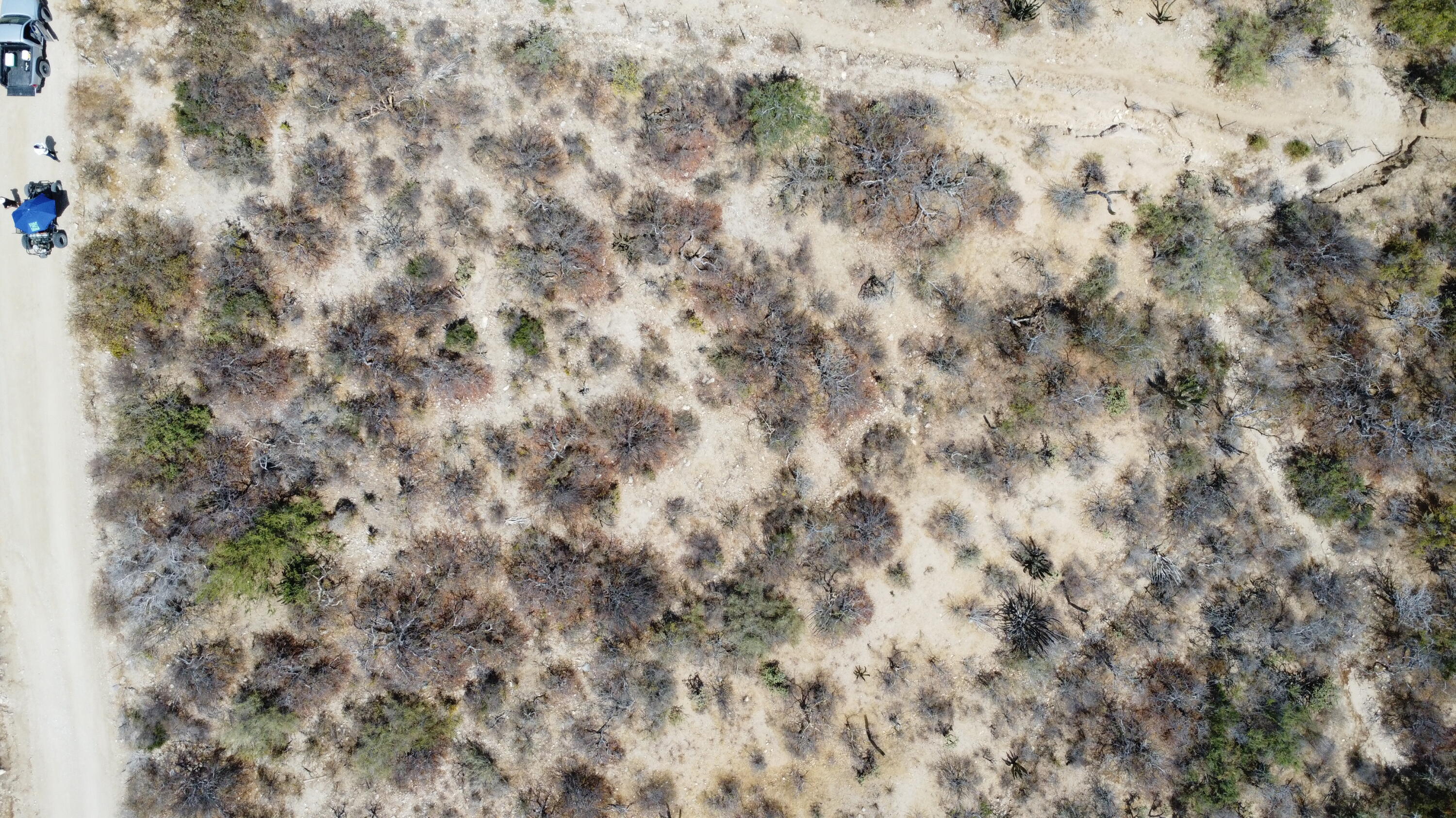 Hectárea at Castillos de Arena